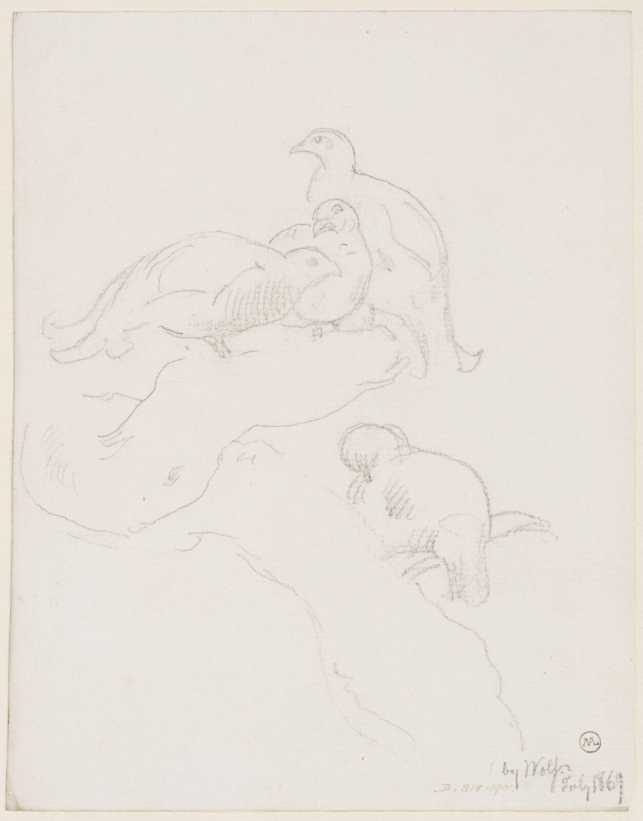 Drawing