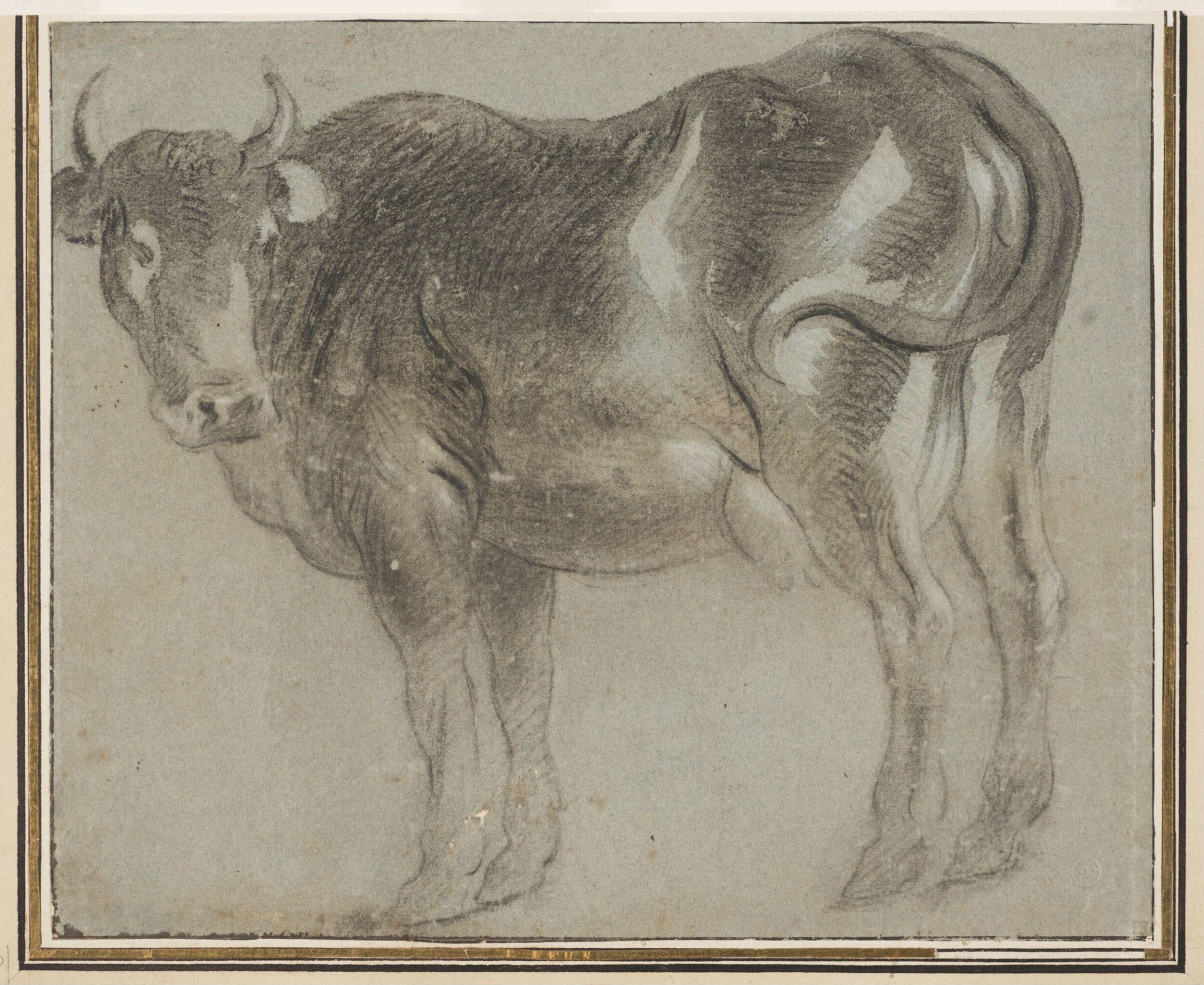 A Standing Cow in Profile, Facing Out, Jacob the elder Jordaens, 17th century
