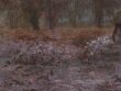 In Sherwood Forest, Nottinghamshire: winter evening after rain thumbnail 2