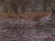 In Sherwood Forest, Nottinghamshire: winter evening after rain thumbnail 2