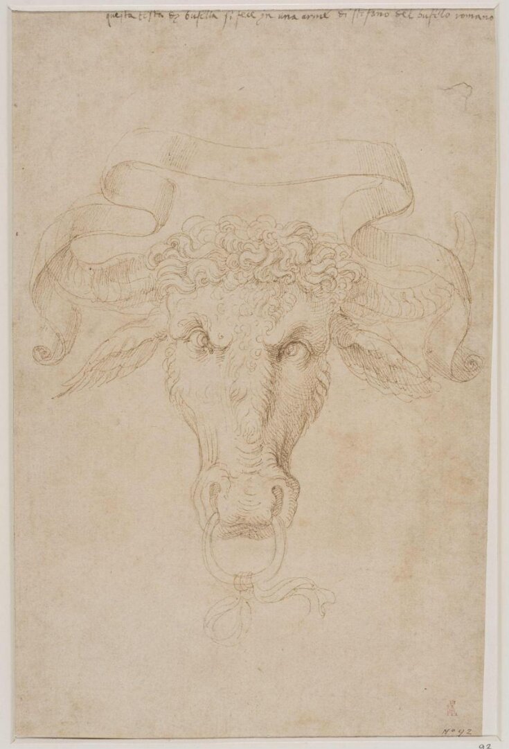 Head of a buffalo, with a ring in its nose and a riband over its horns, as in the arms of Bufalo della Valle top image