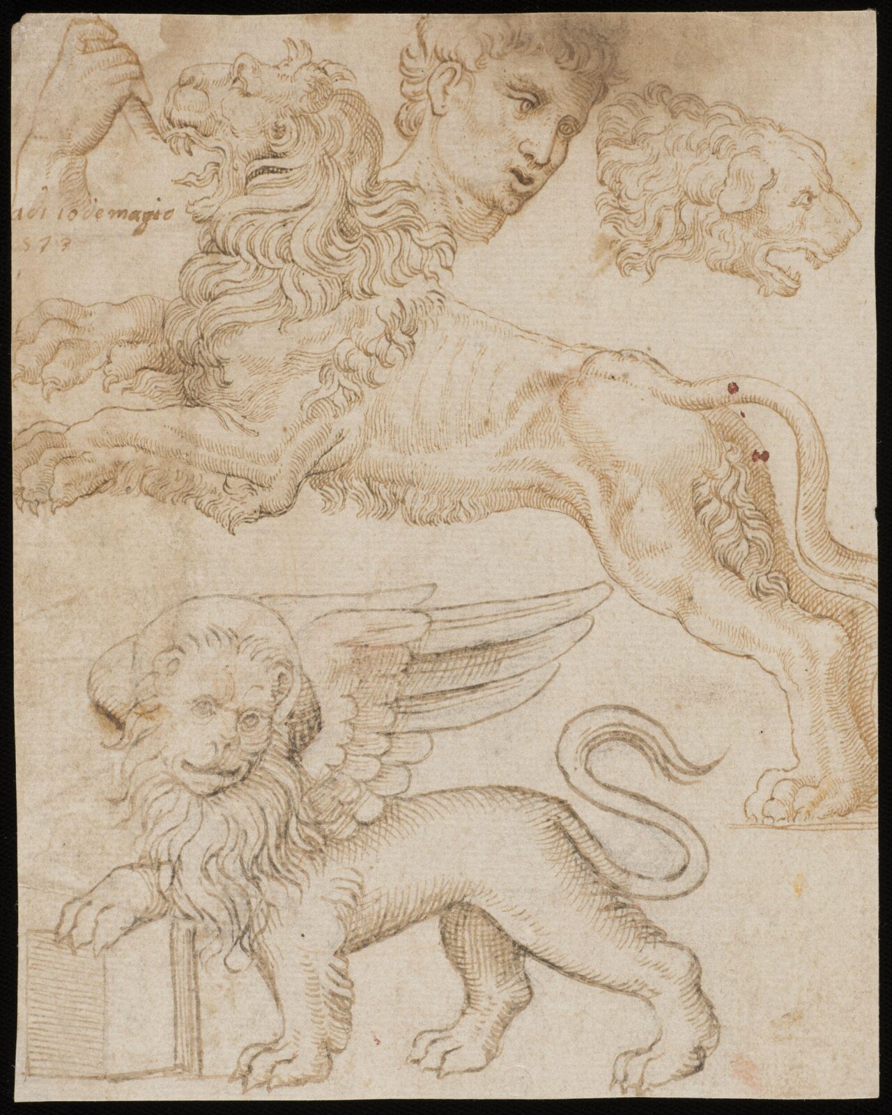 Drawing