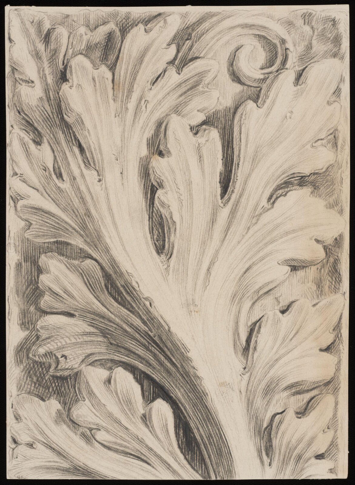 Drawing