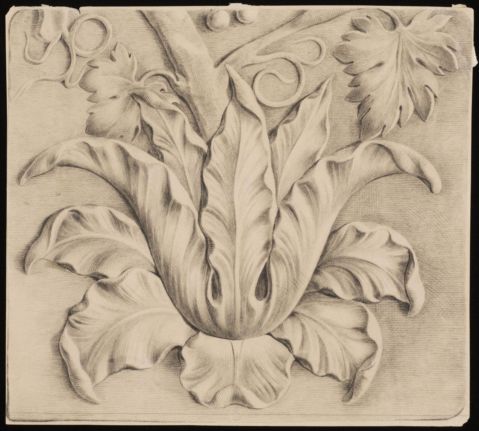 Drawing