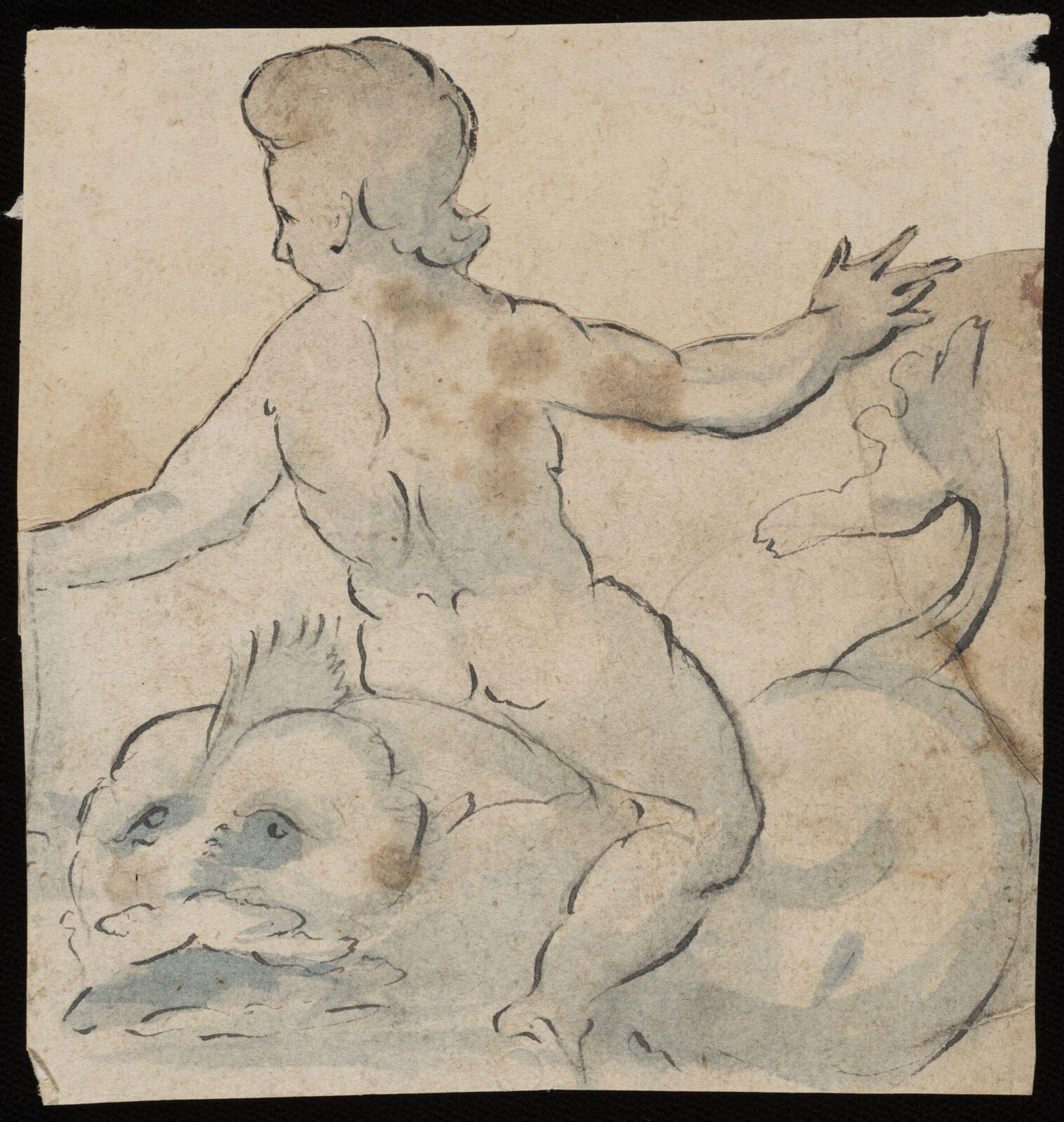 Drawing