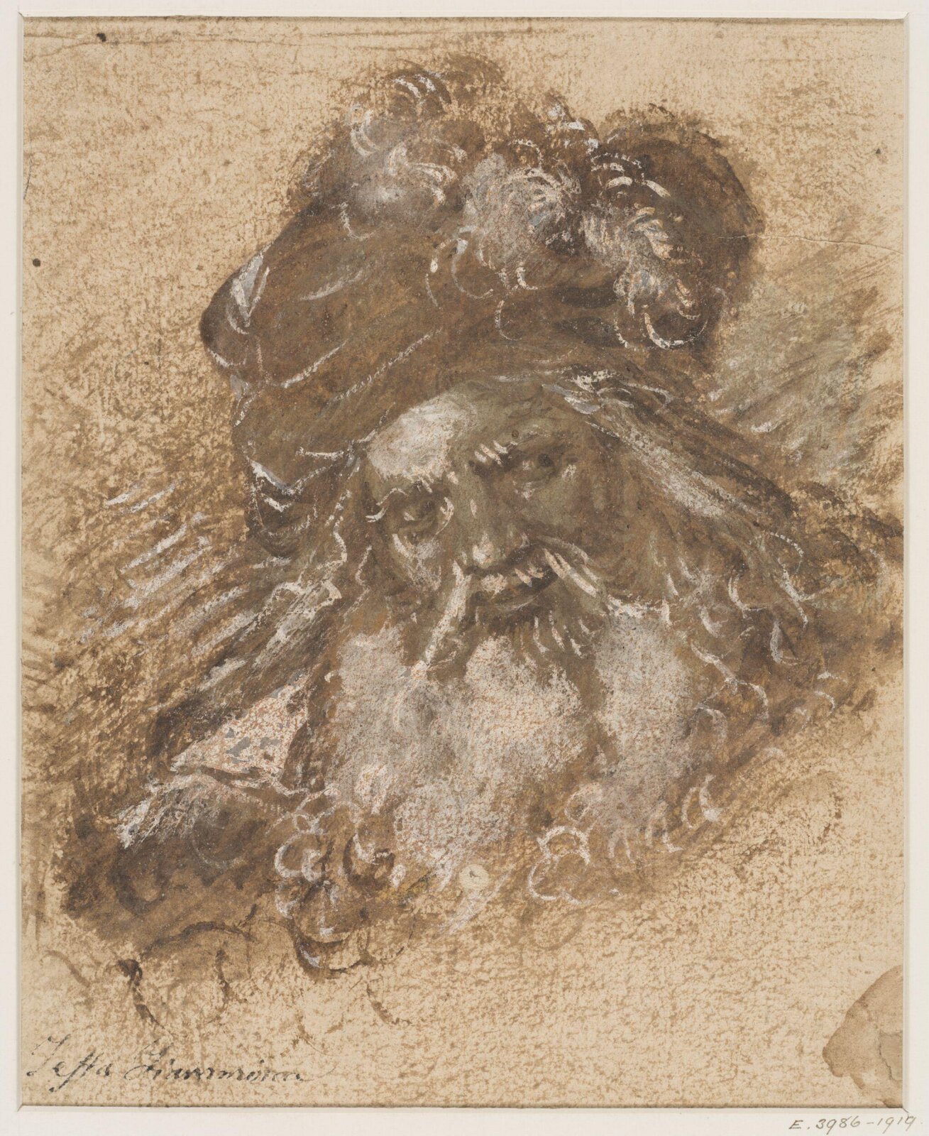 Head of a bearded man, late 16th century