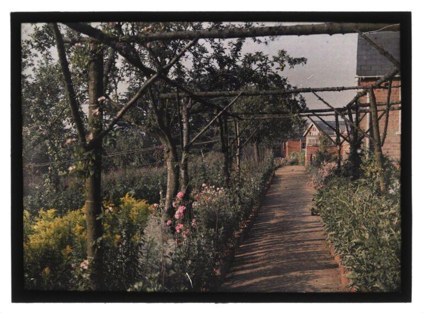 Unknown, Garden path