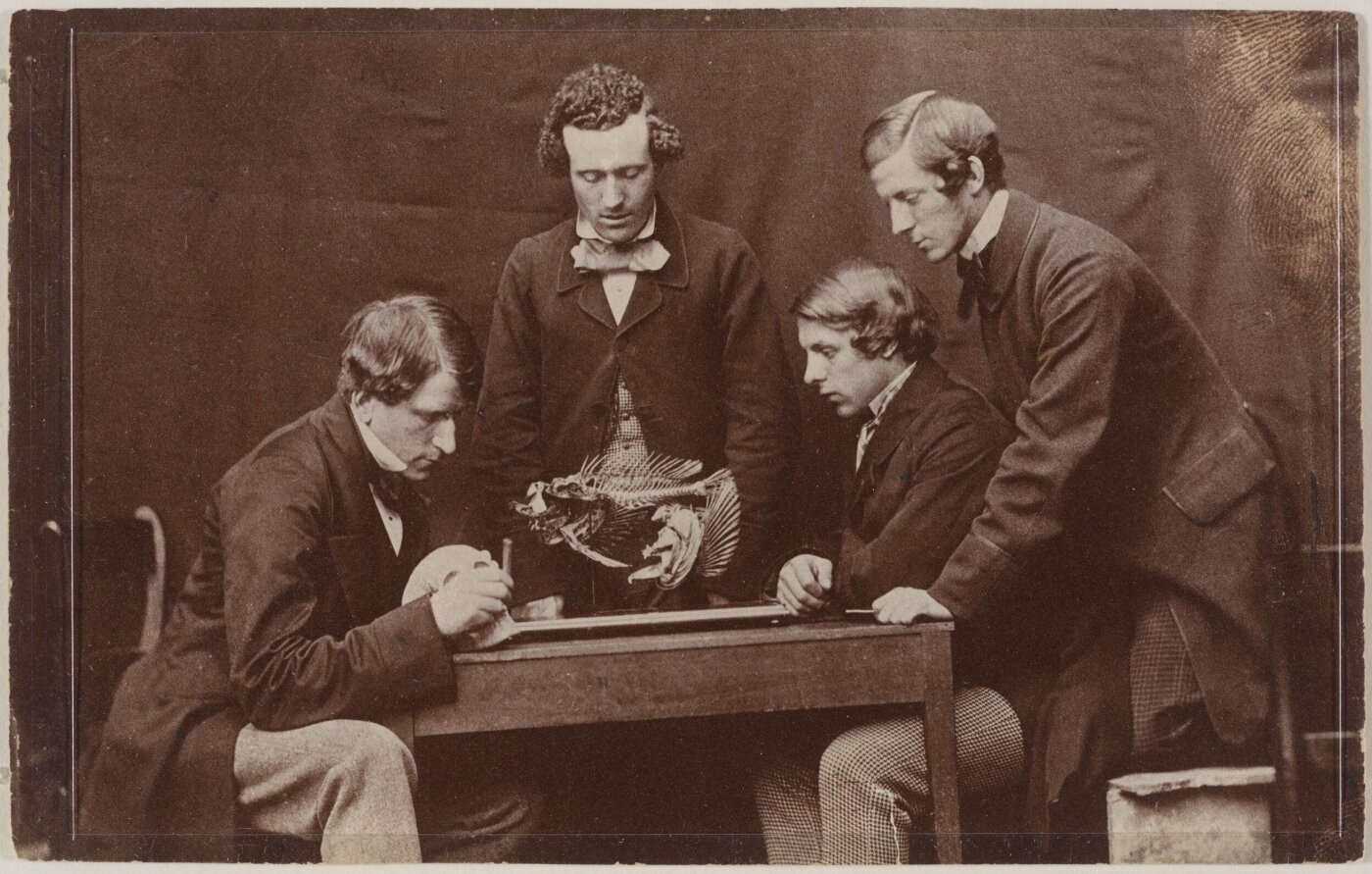 Unknown, The Anatomy Lesson with Dr. George Rolleston