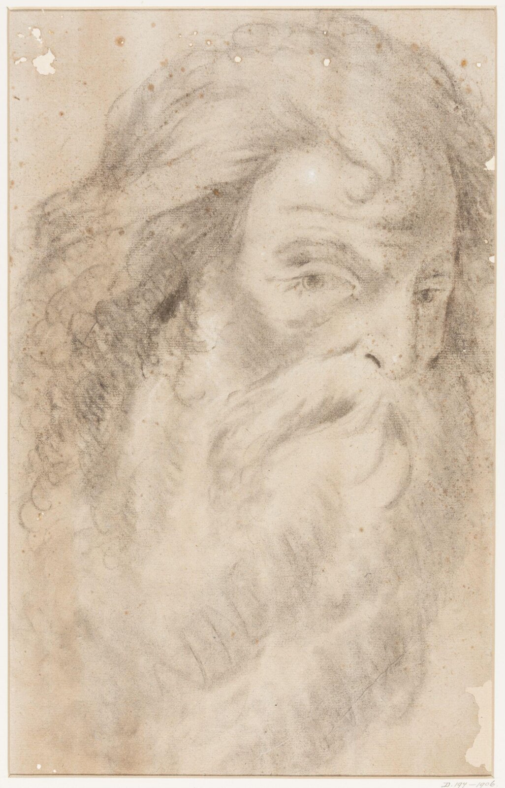 Study of heads, early 18th century