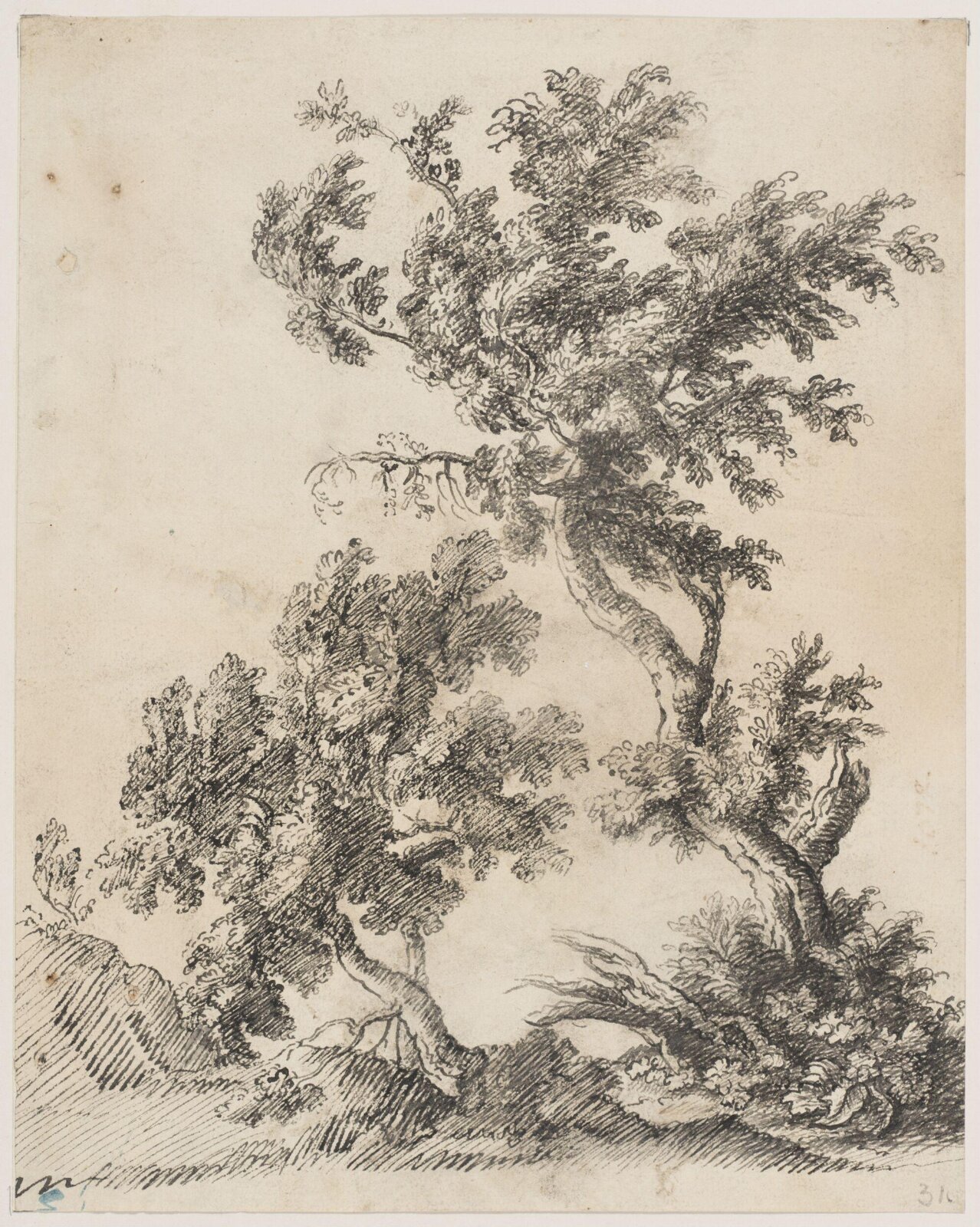 Two Trees, Nicolas Poussin, 1593-1665