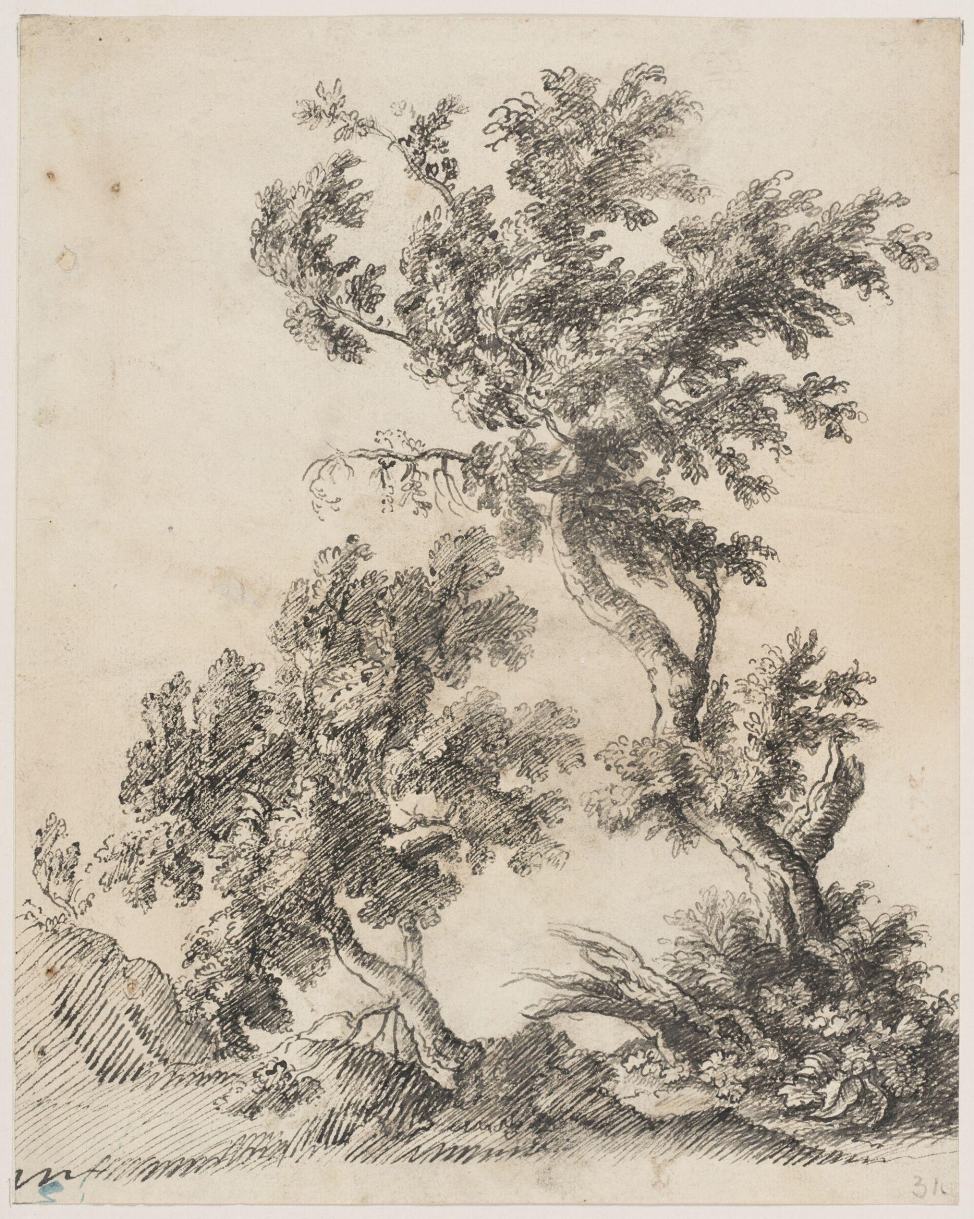 Two Trees, Nicolas Poussin, 1593-1665