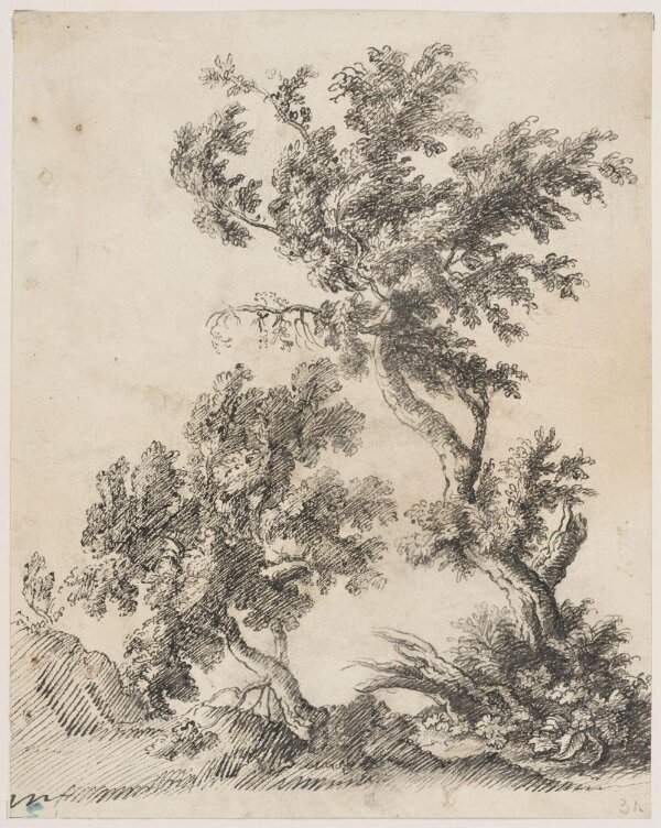 Two Trees | Poussin, Nicolas | V&A Explore The Collections