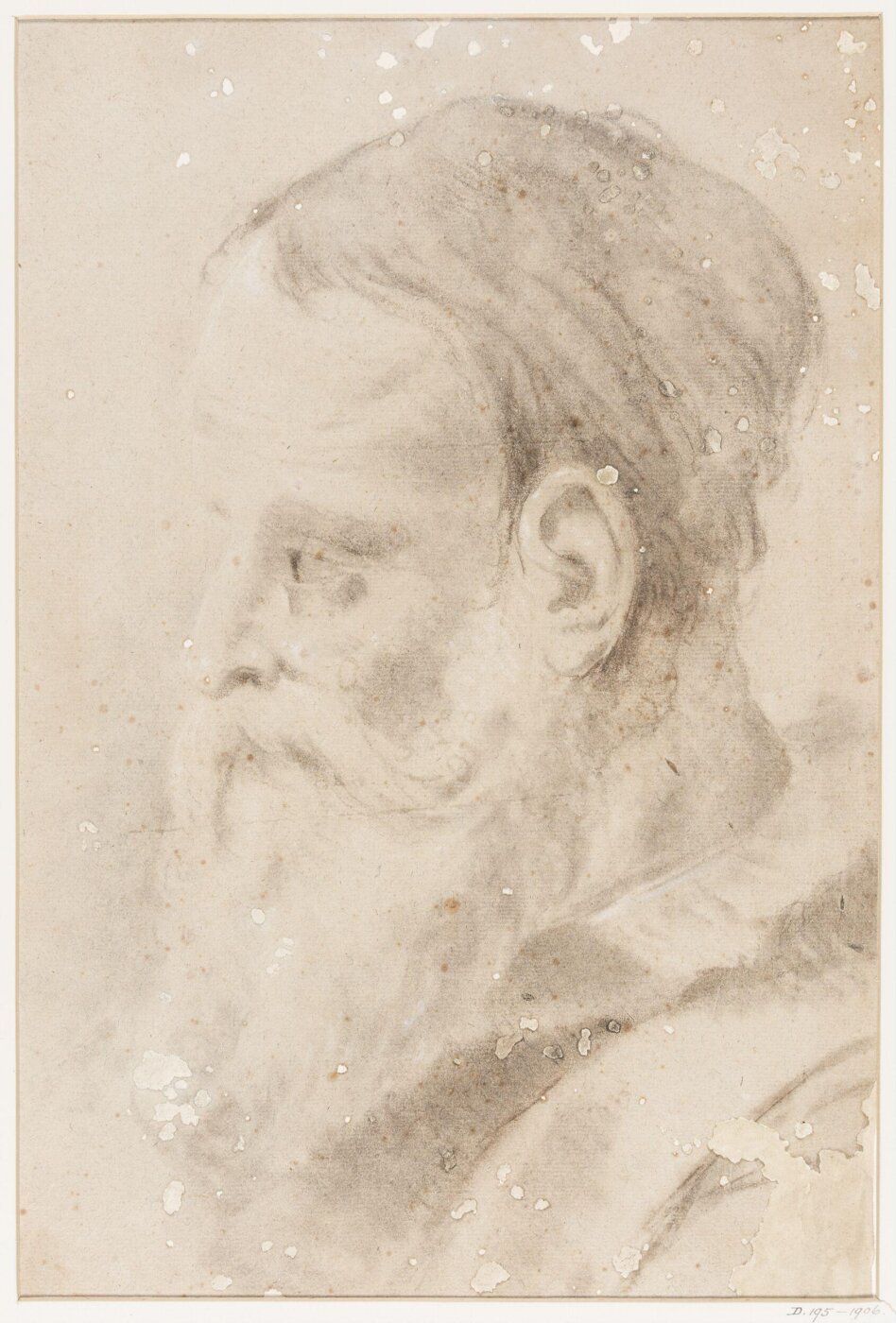 Unknown, Study of a male head