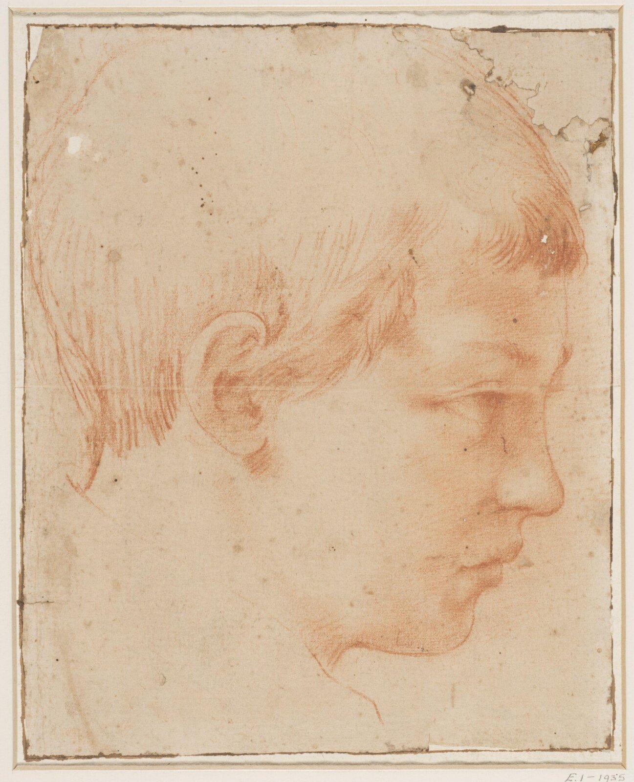 Head of a boy, ca. late 16th century
