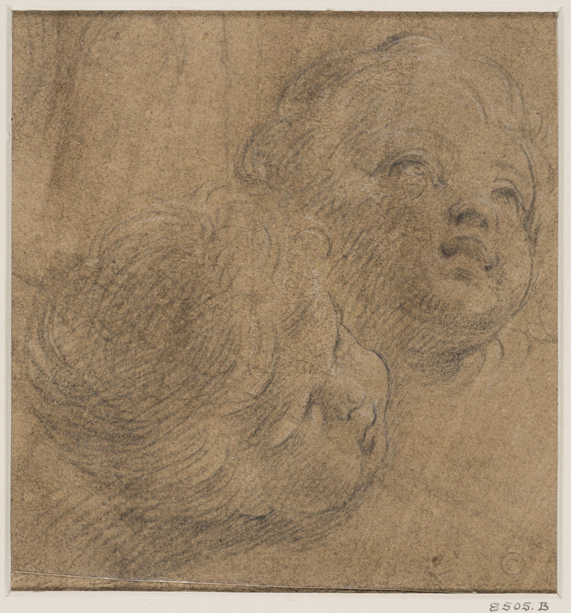 Two studies of heads of cherubs, Sebastiano Conca, ca. 1700-1764