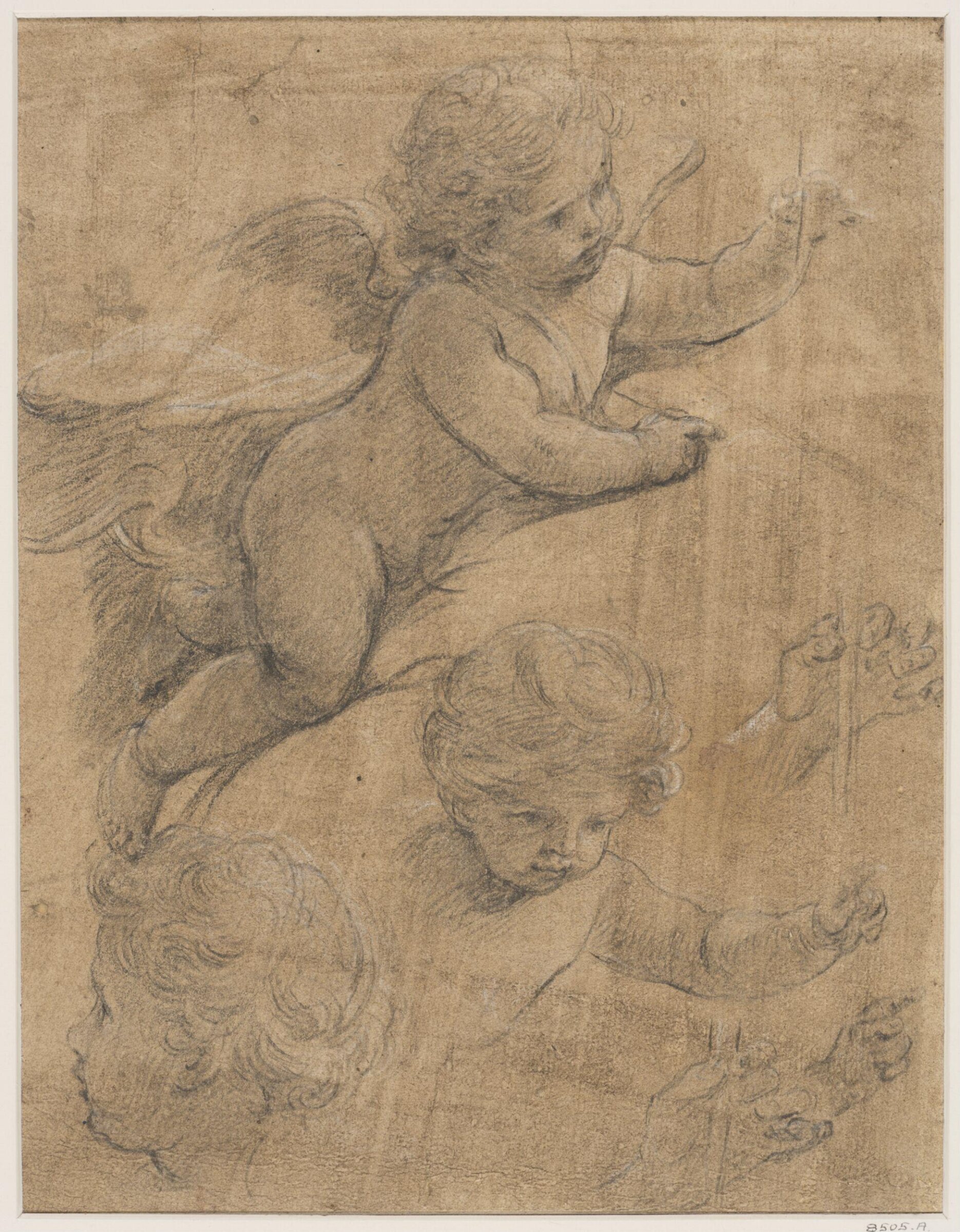 Studies of a head, of a cherub writing and of his hands, Sebastiano Conca, ca. 1700-1764