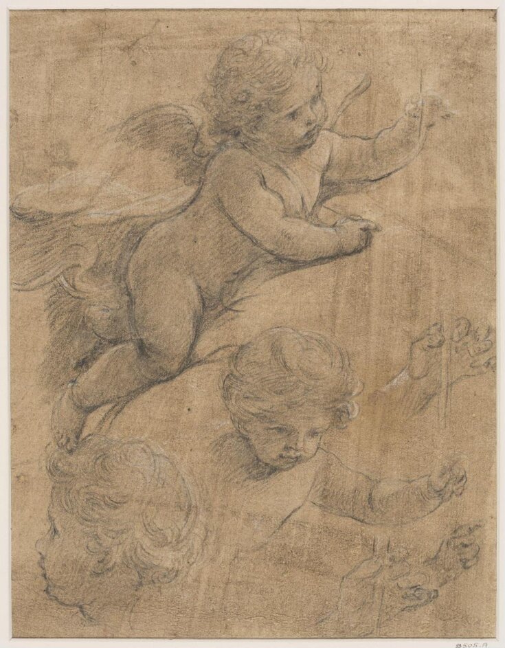 Studies of a head, of a cherub writing and of his hands top image