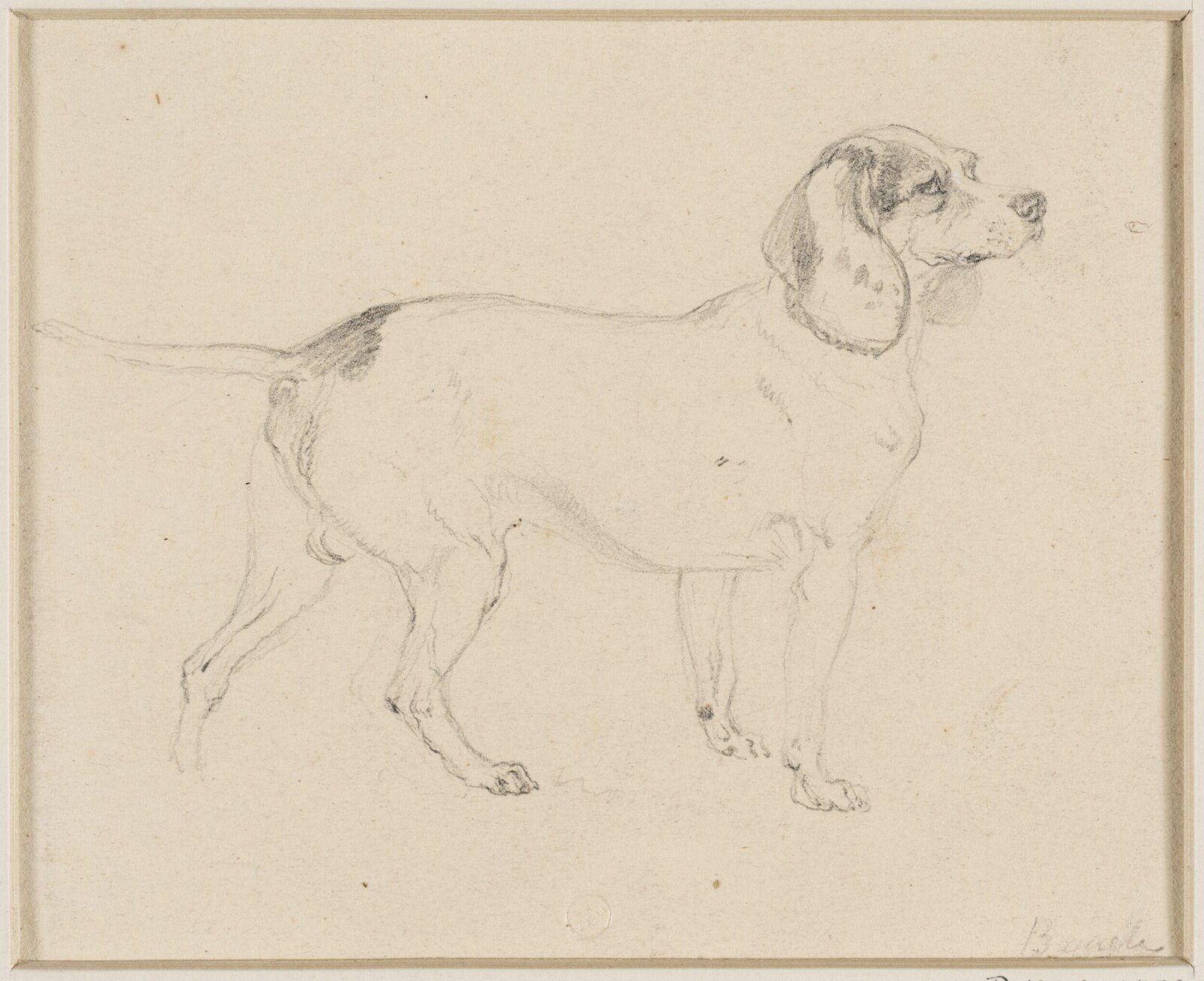 Drawing
