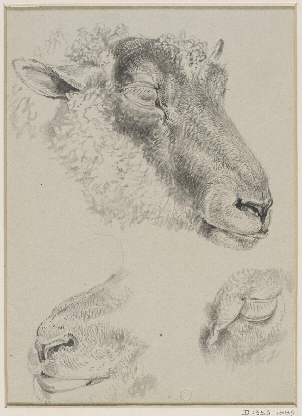 Drawing