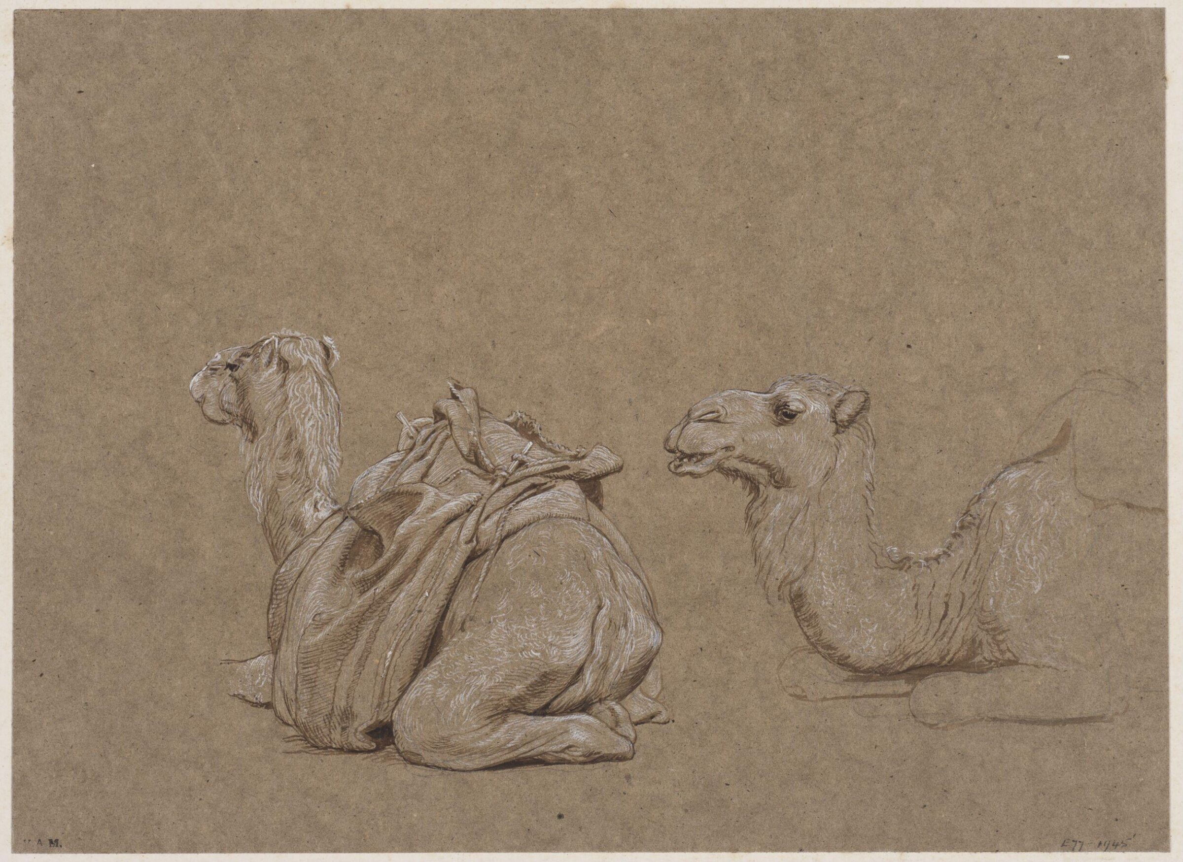 Drawing, John Evan Hodgson, c.1870s