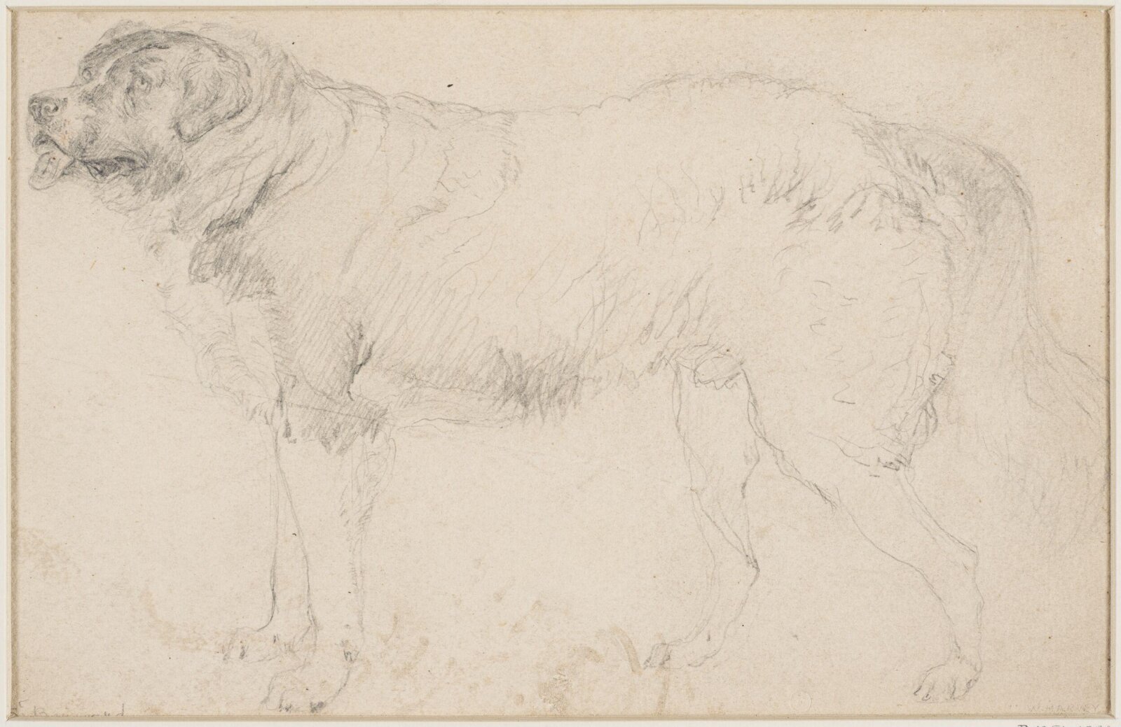Drawing