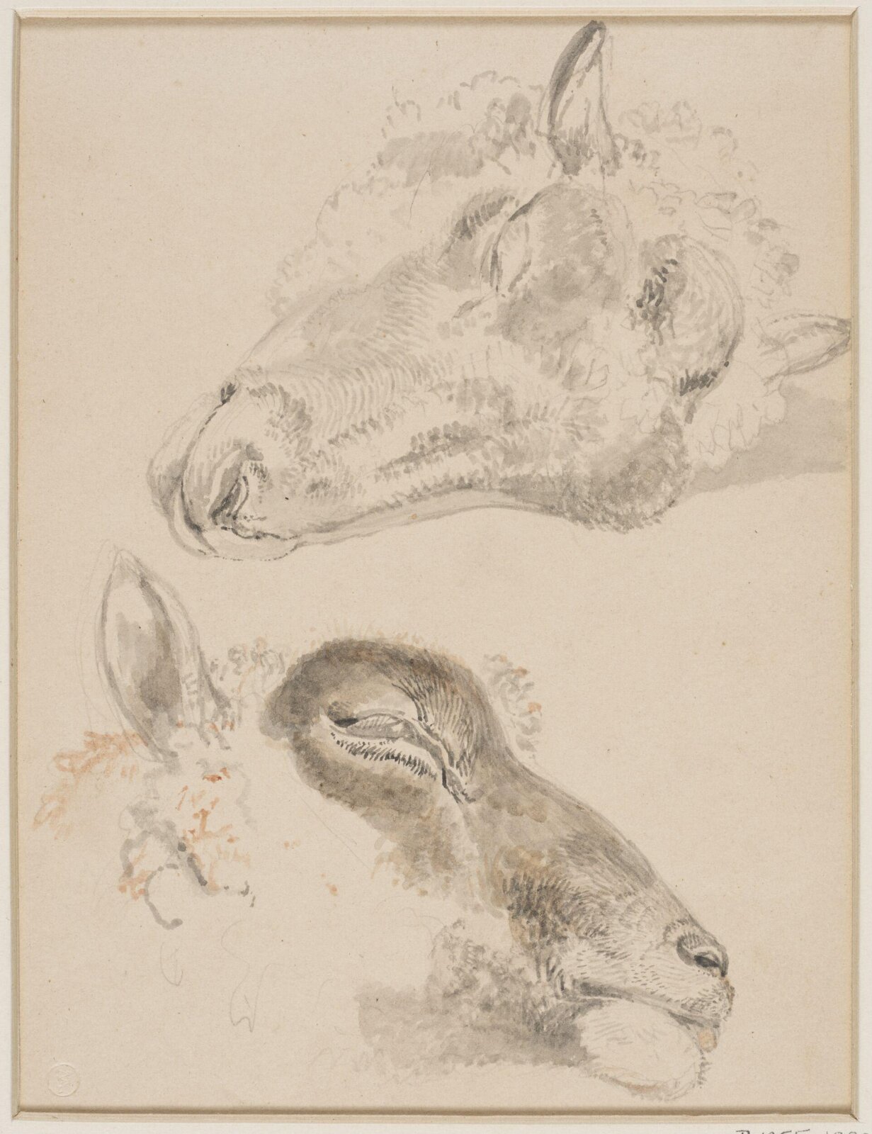 Drawing
