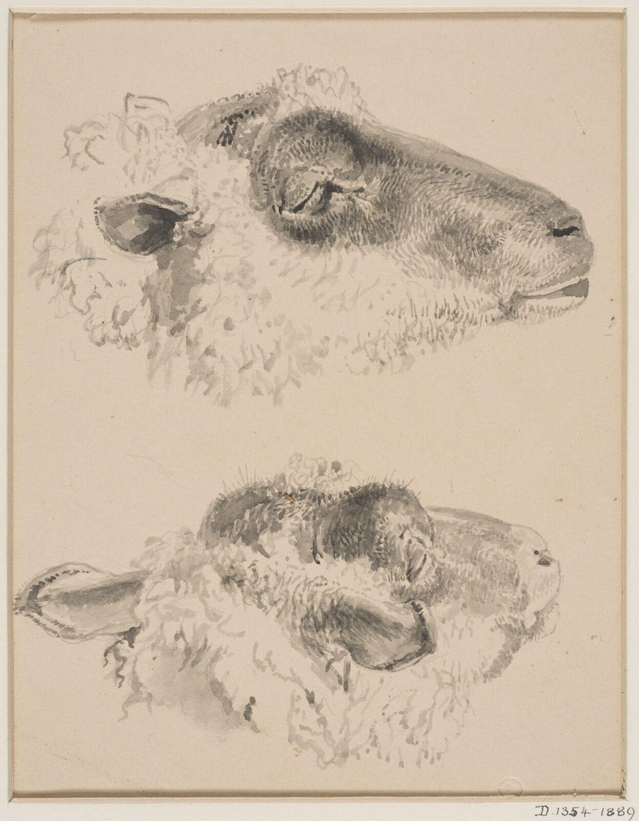 Drawing