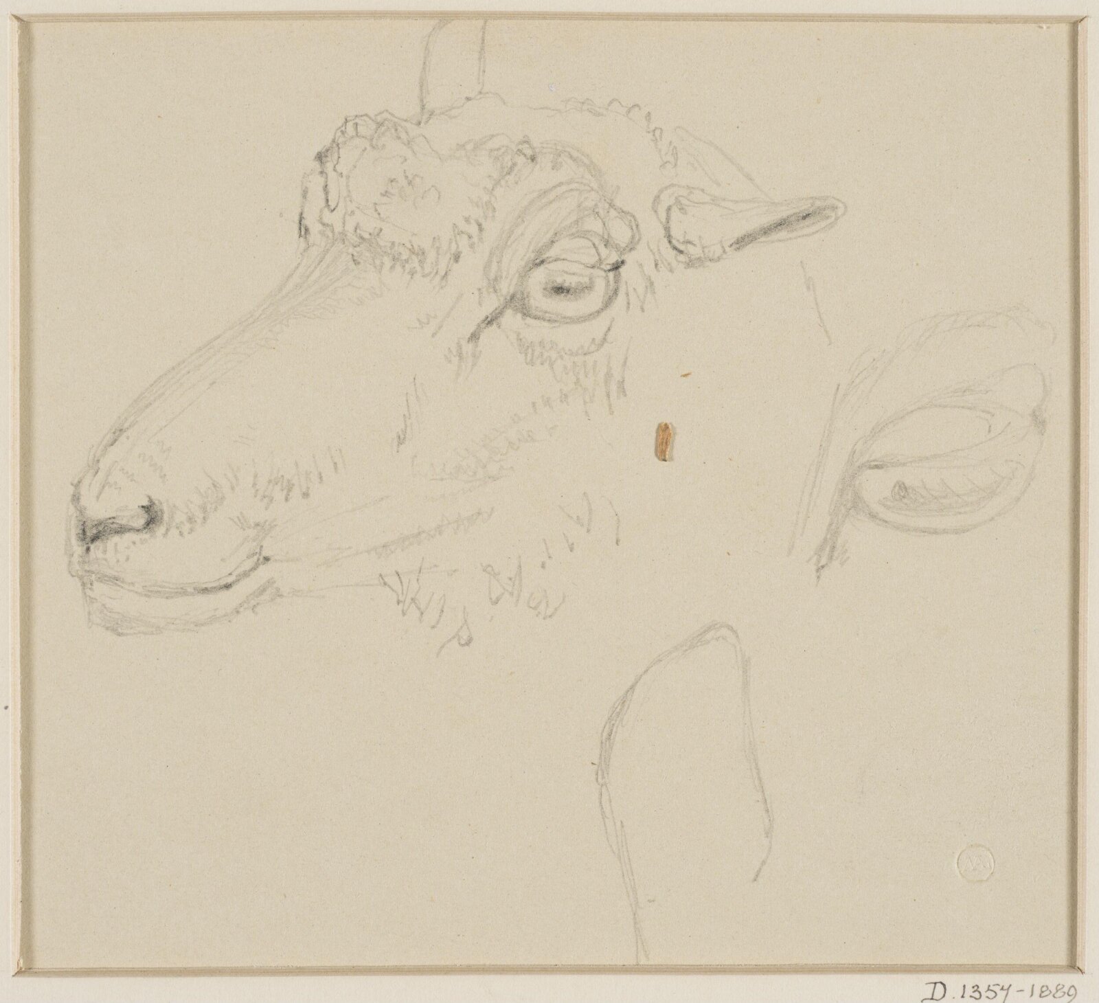 Drawing