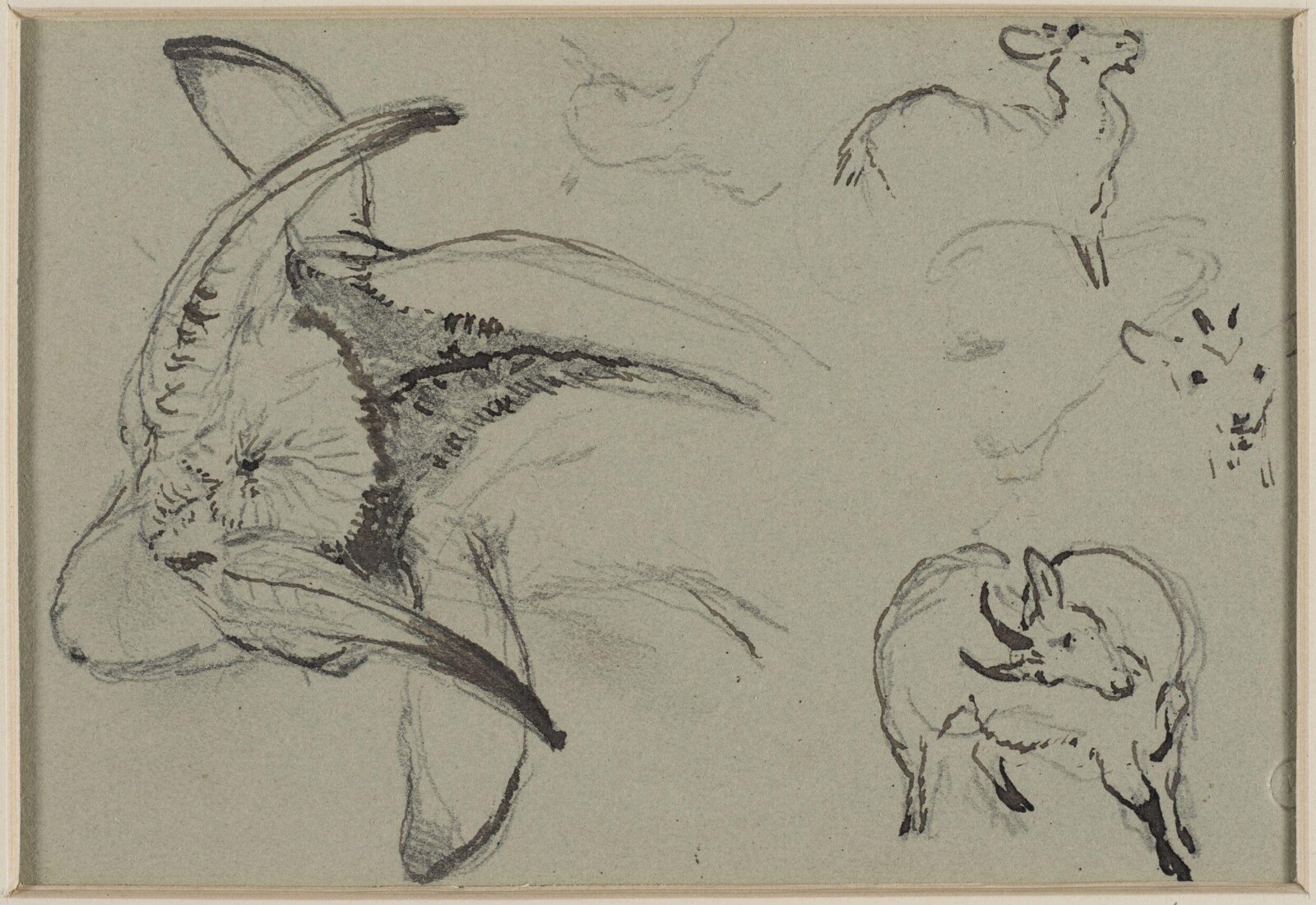 Drawing