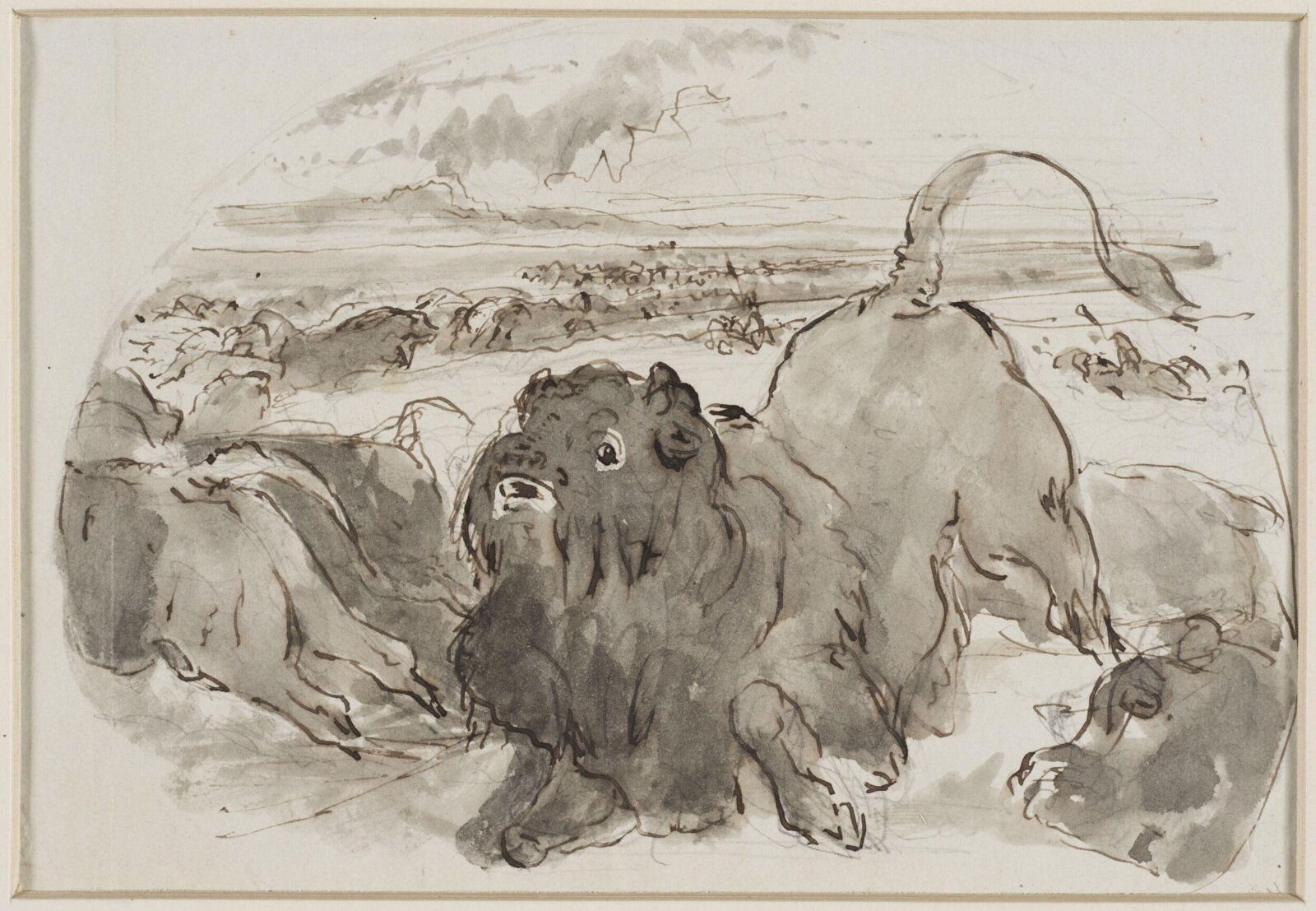 Drawing