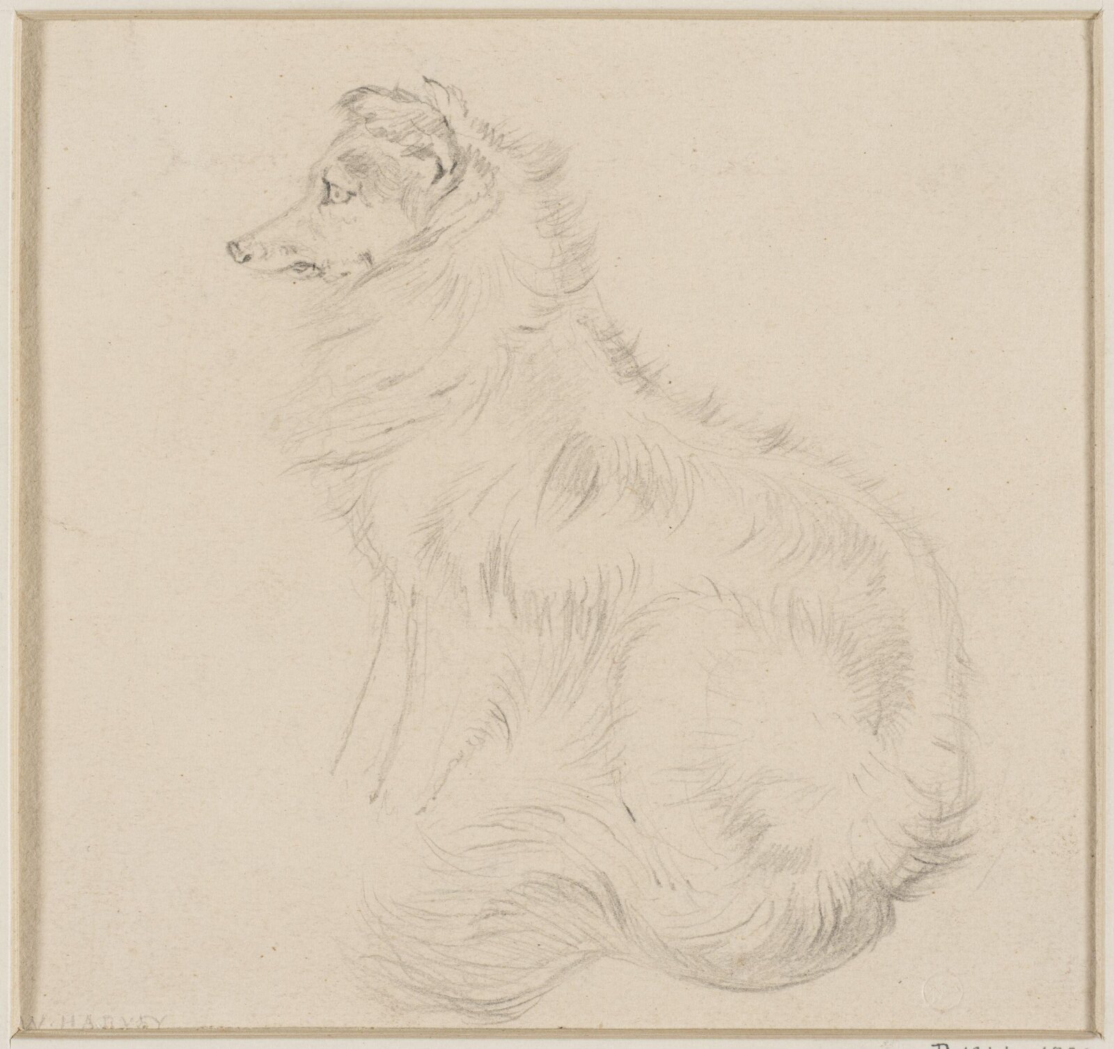 Drawing
