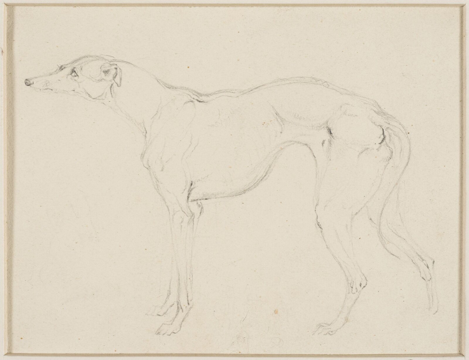 Drawing
