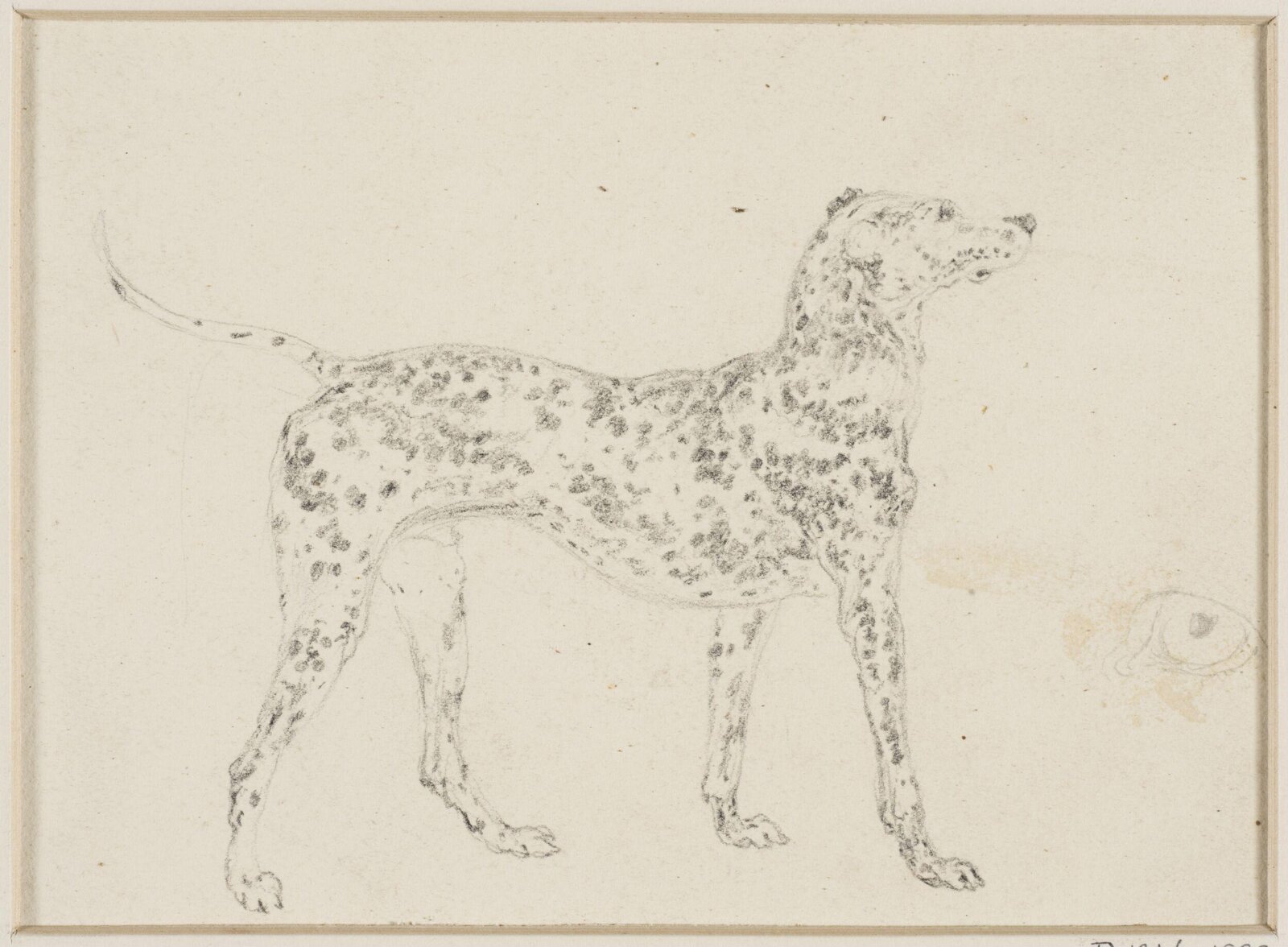 Drawing
