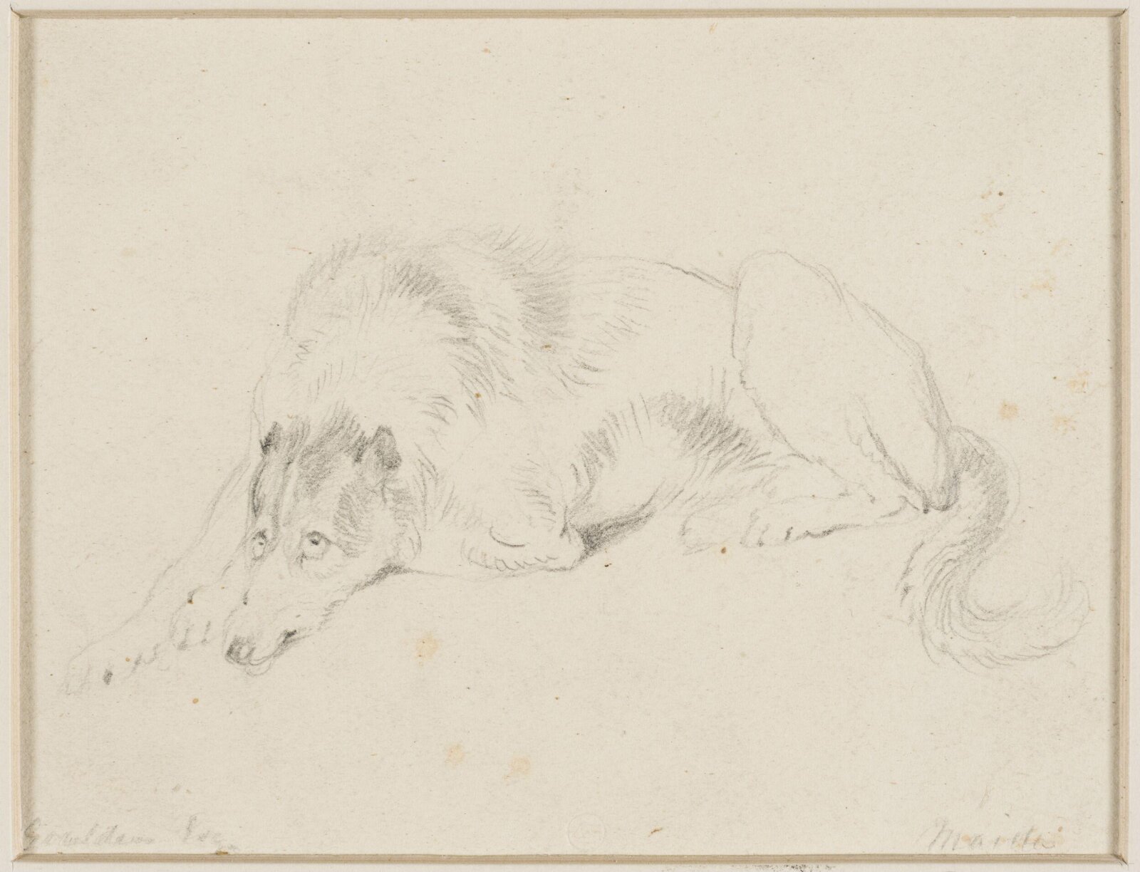 Drawing
