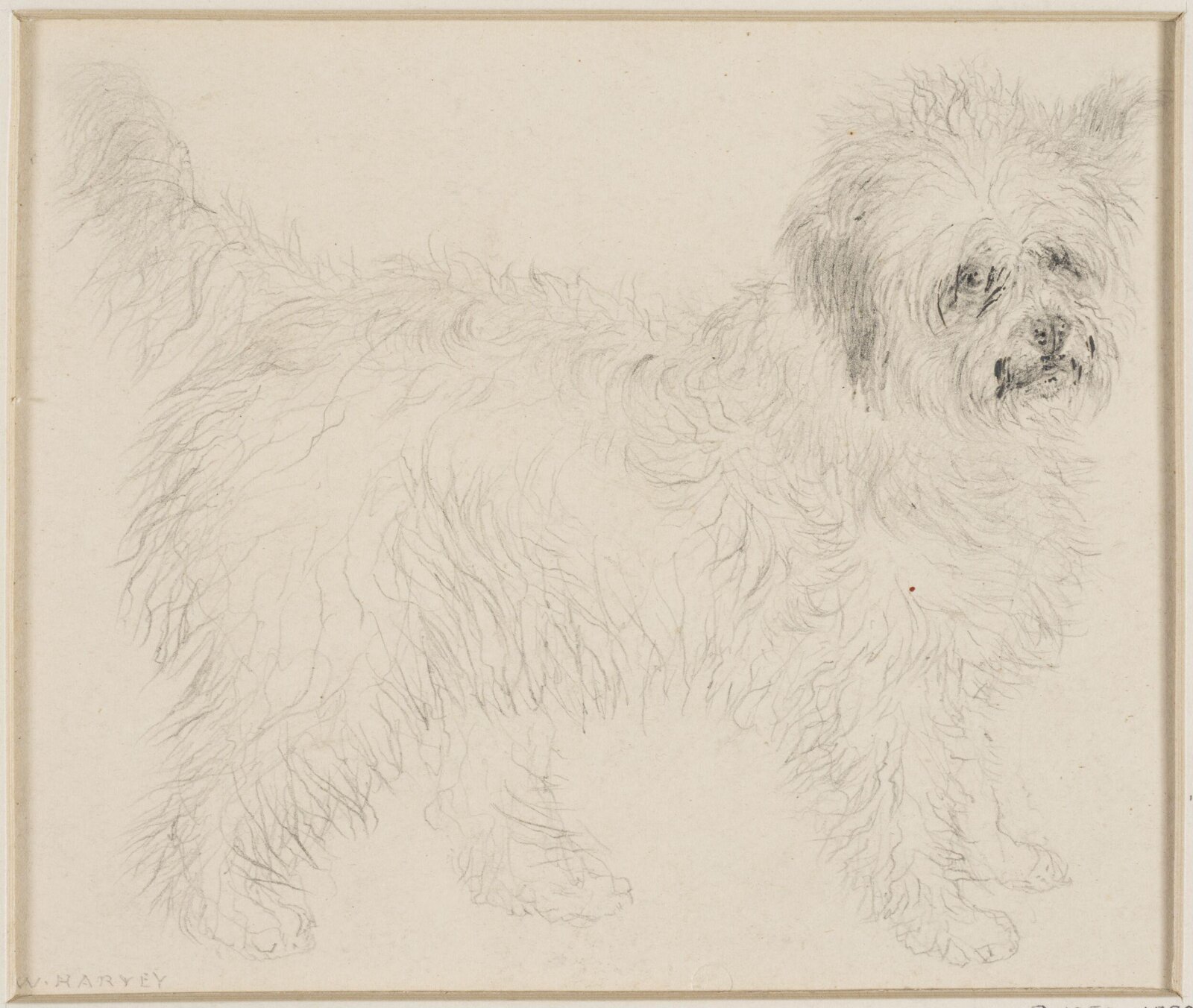Drawing