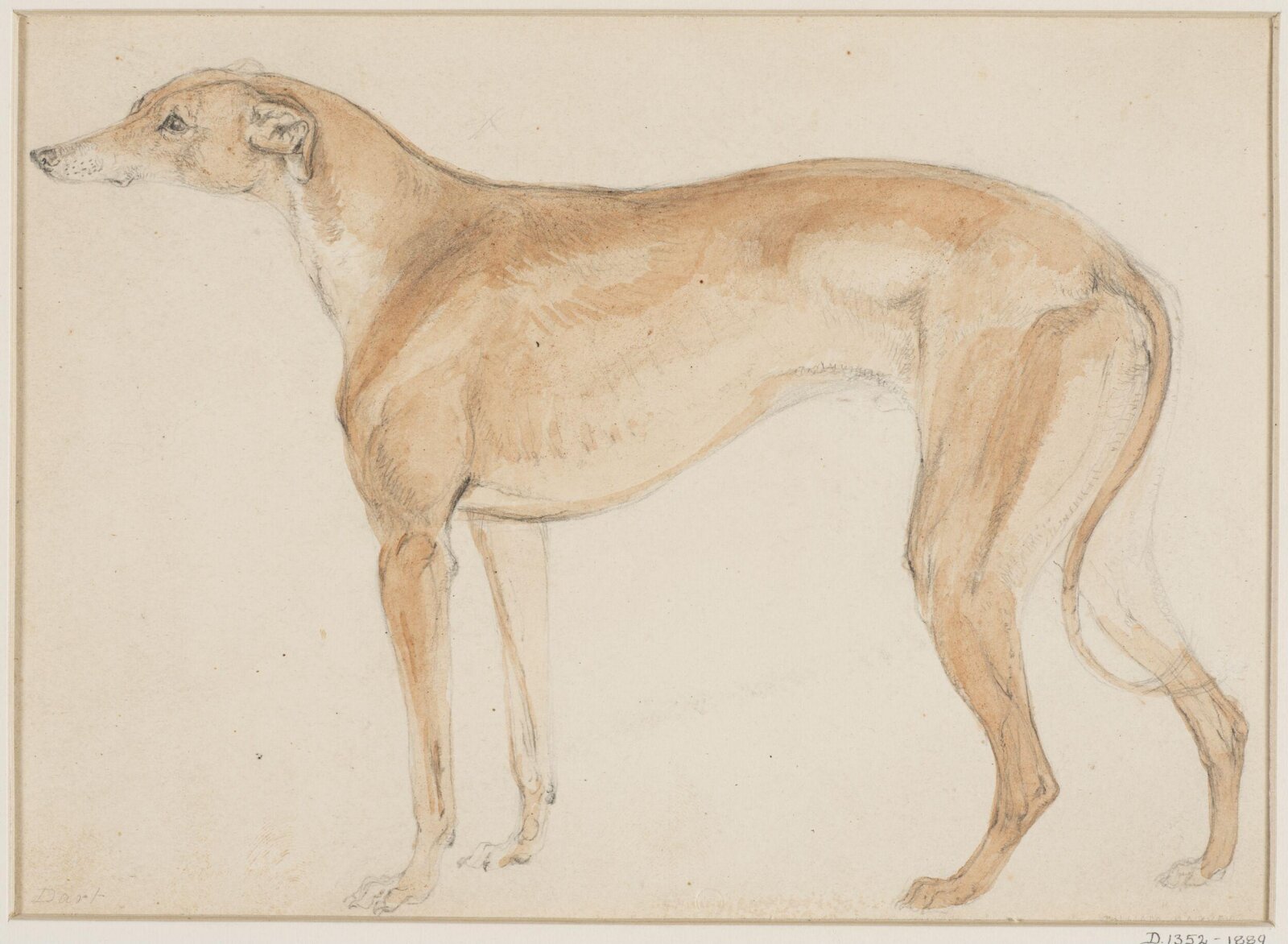 Drawing