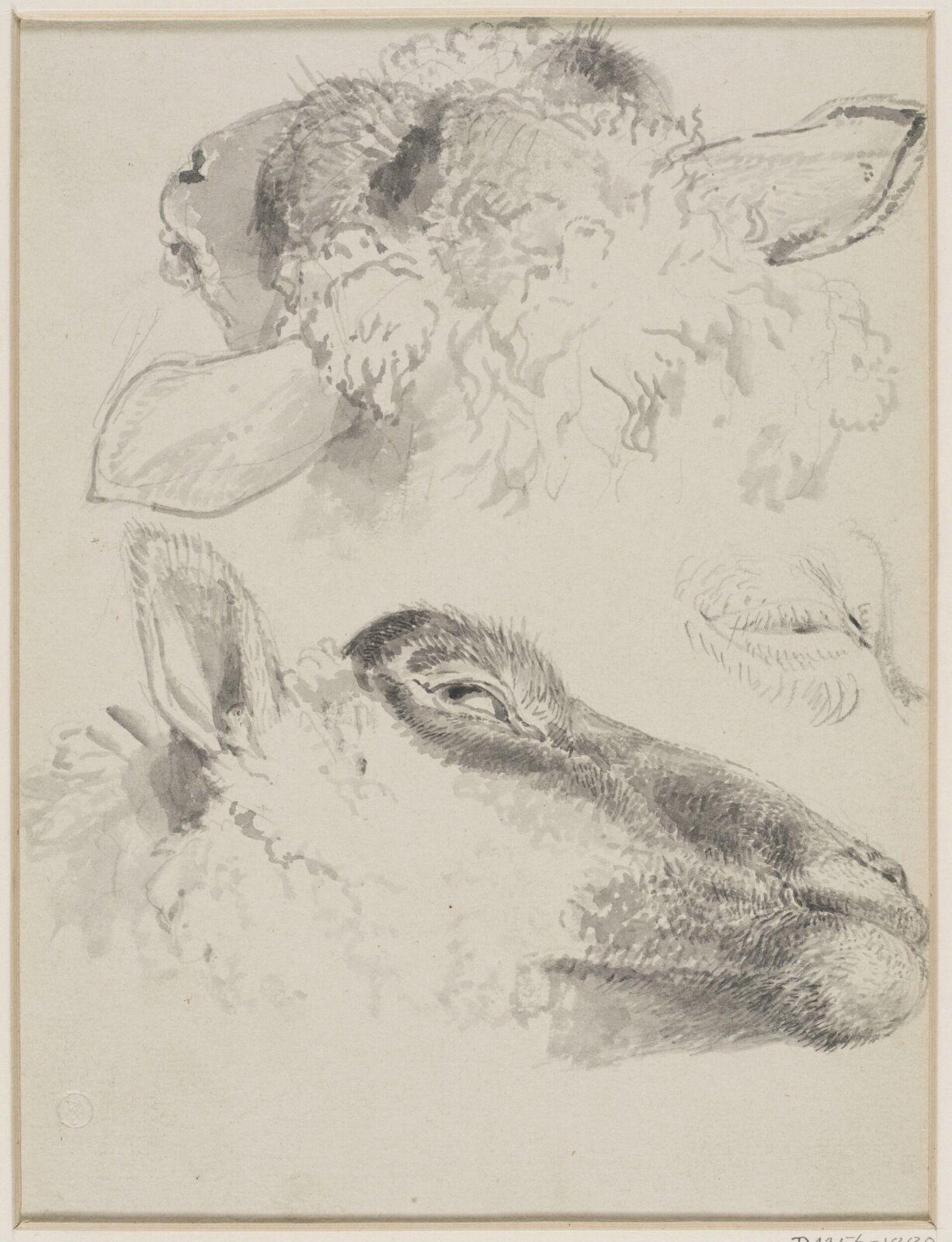 Drawing