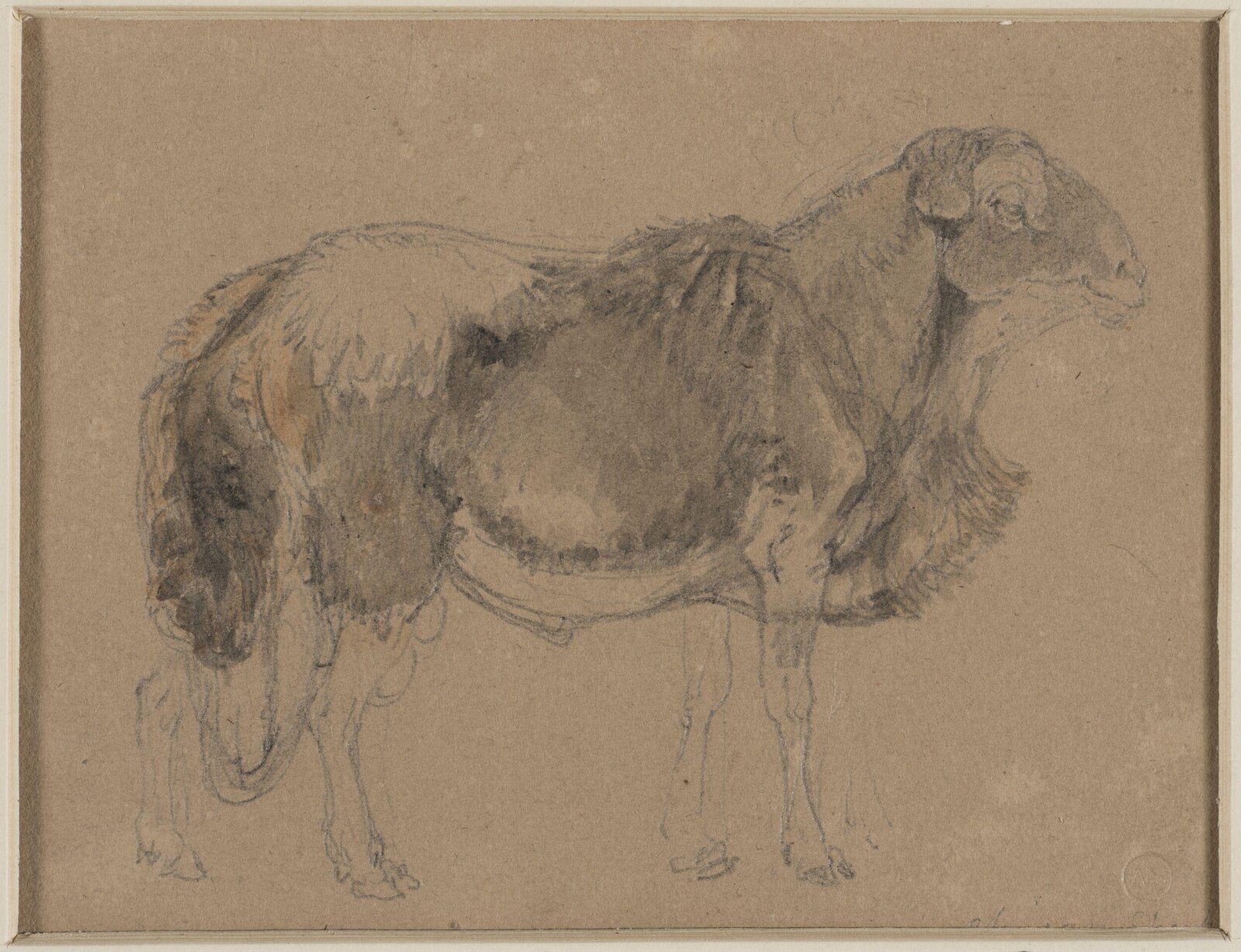 Drawing