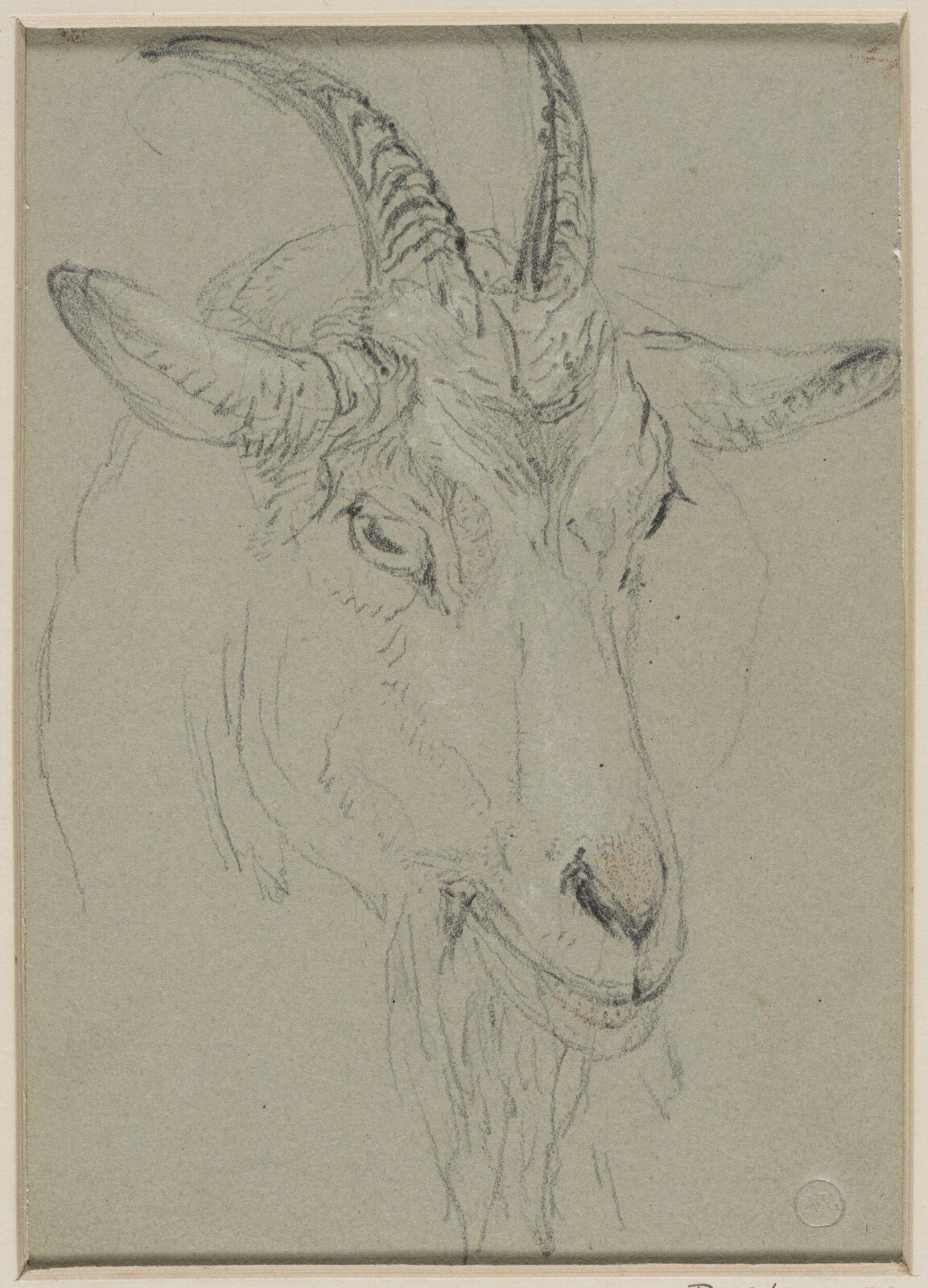 Drawing