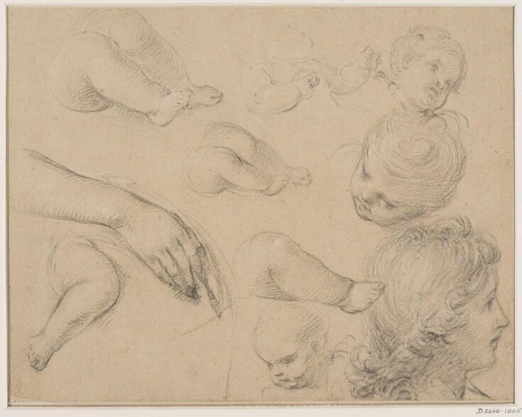 Studies of heads, children's limbs and a hand top image