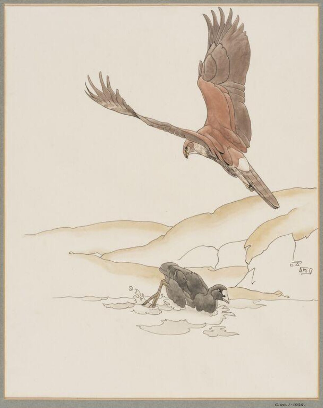 Montagu's Harrier and Boot, Talbot Kelly