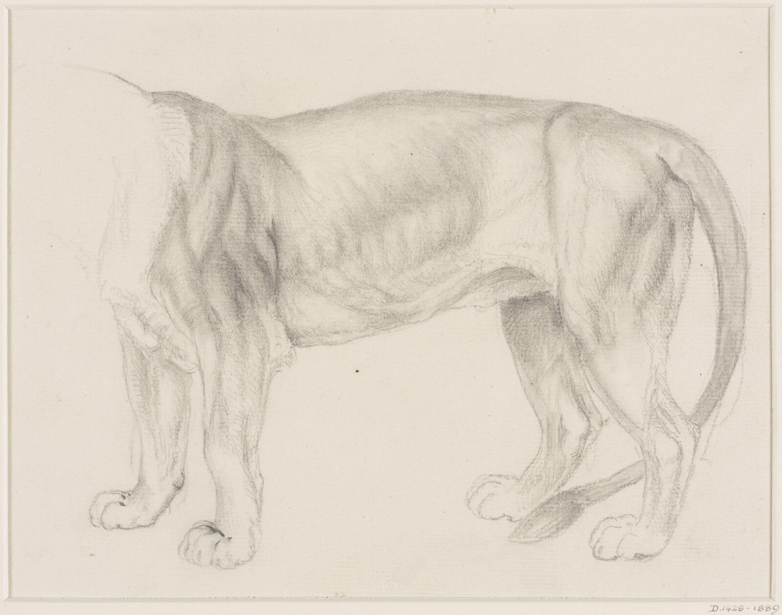 A Standing Lion(?), Eugène Verboeckhoven, 1826