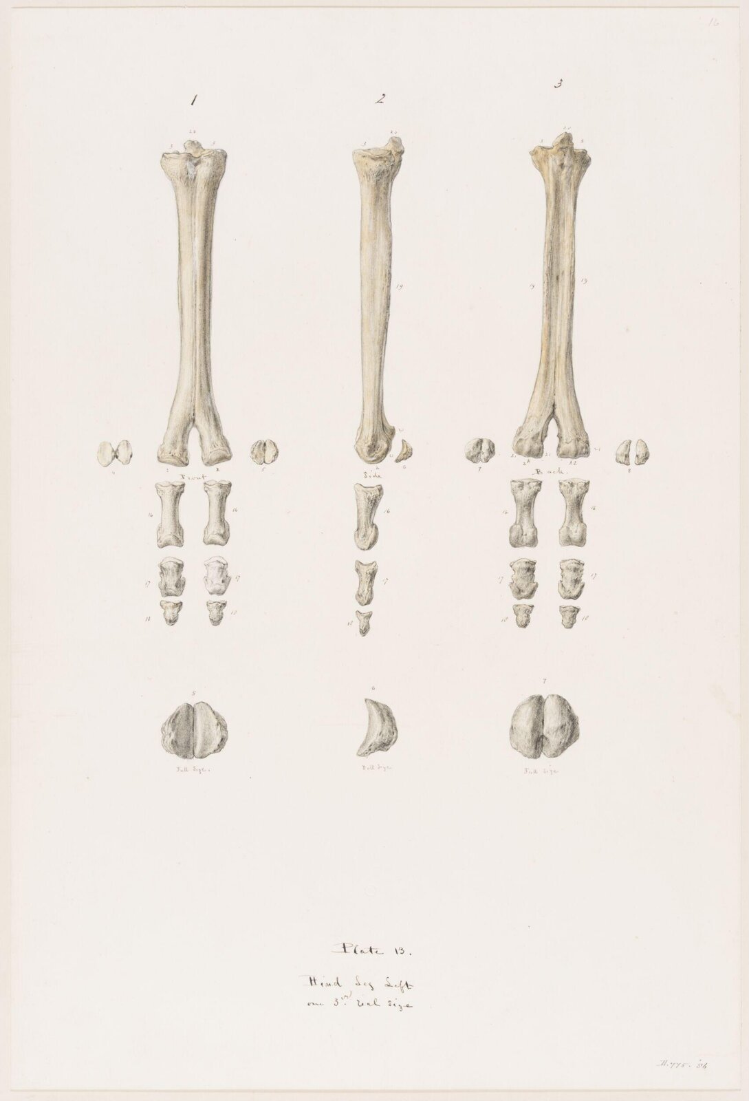 Drawing, Elijah Walton, 1865