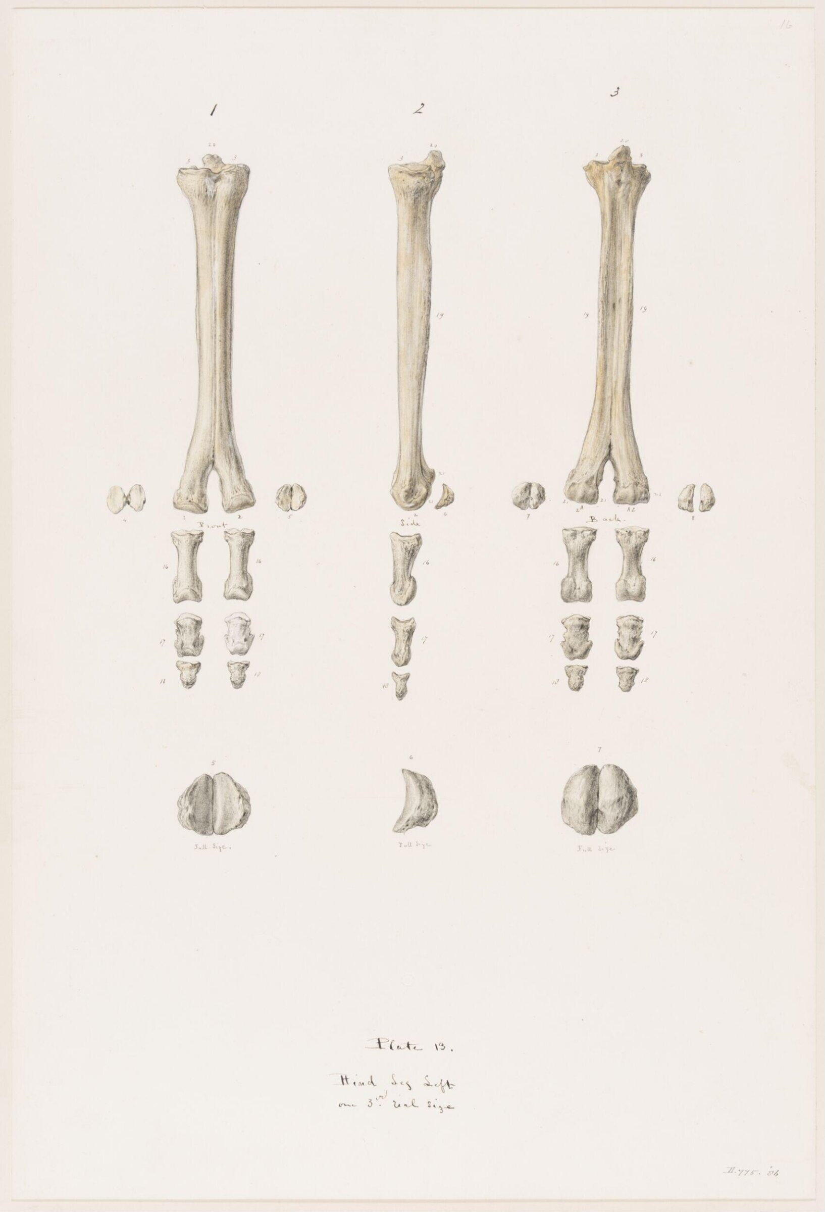 Drawing, Elijah Walton, 1865