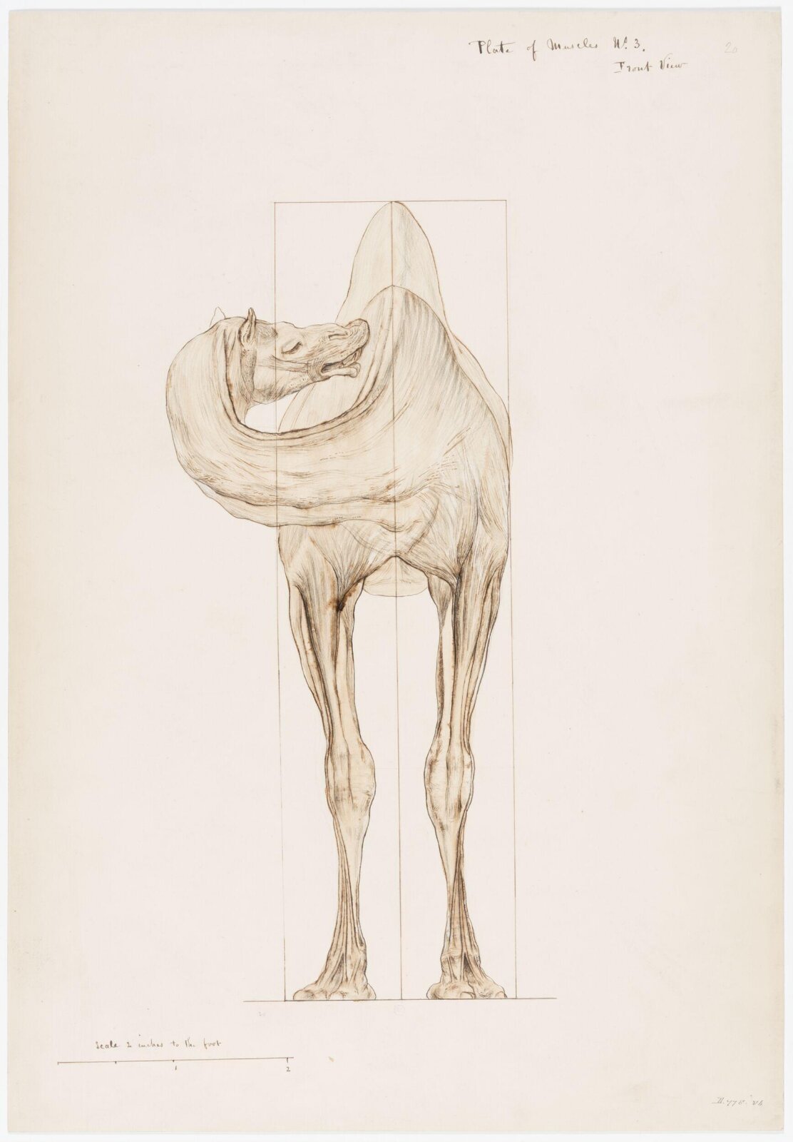 Drawing, Elijah Walton, 1865