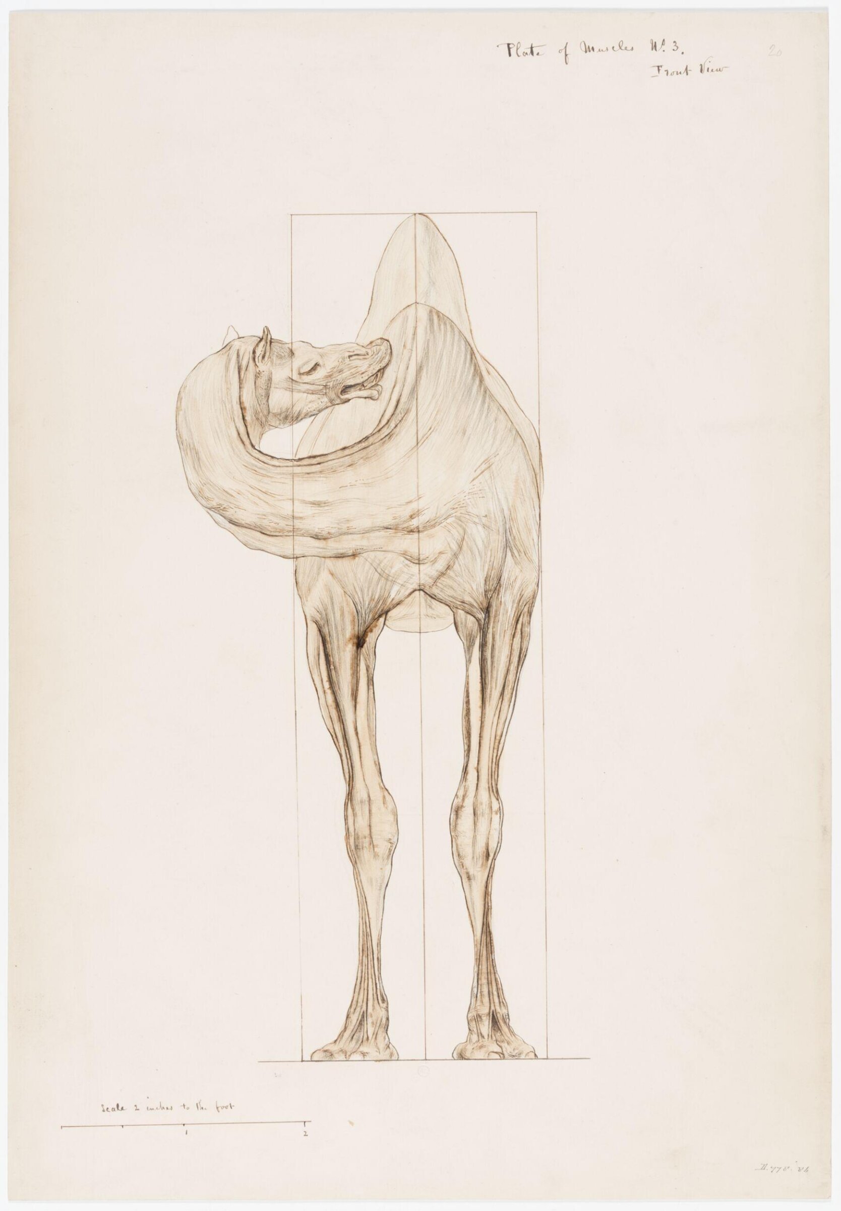 Drawing, Elijah Walton, 1865
