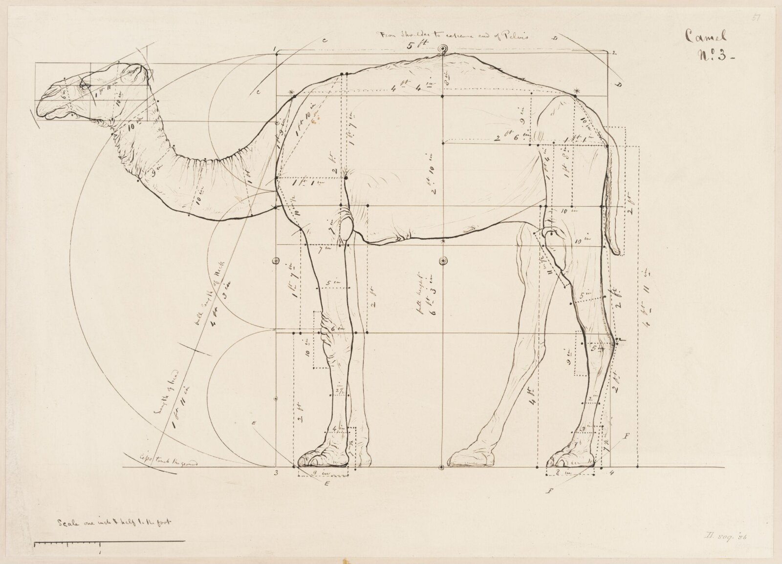 Drawing, Elijah Walton, 1865