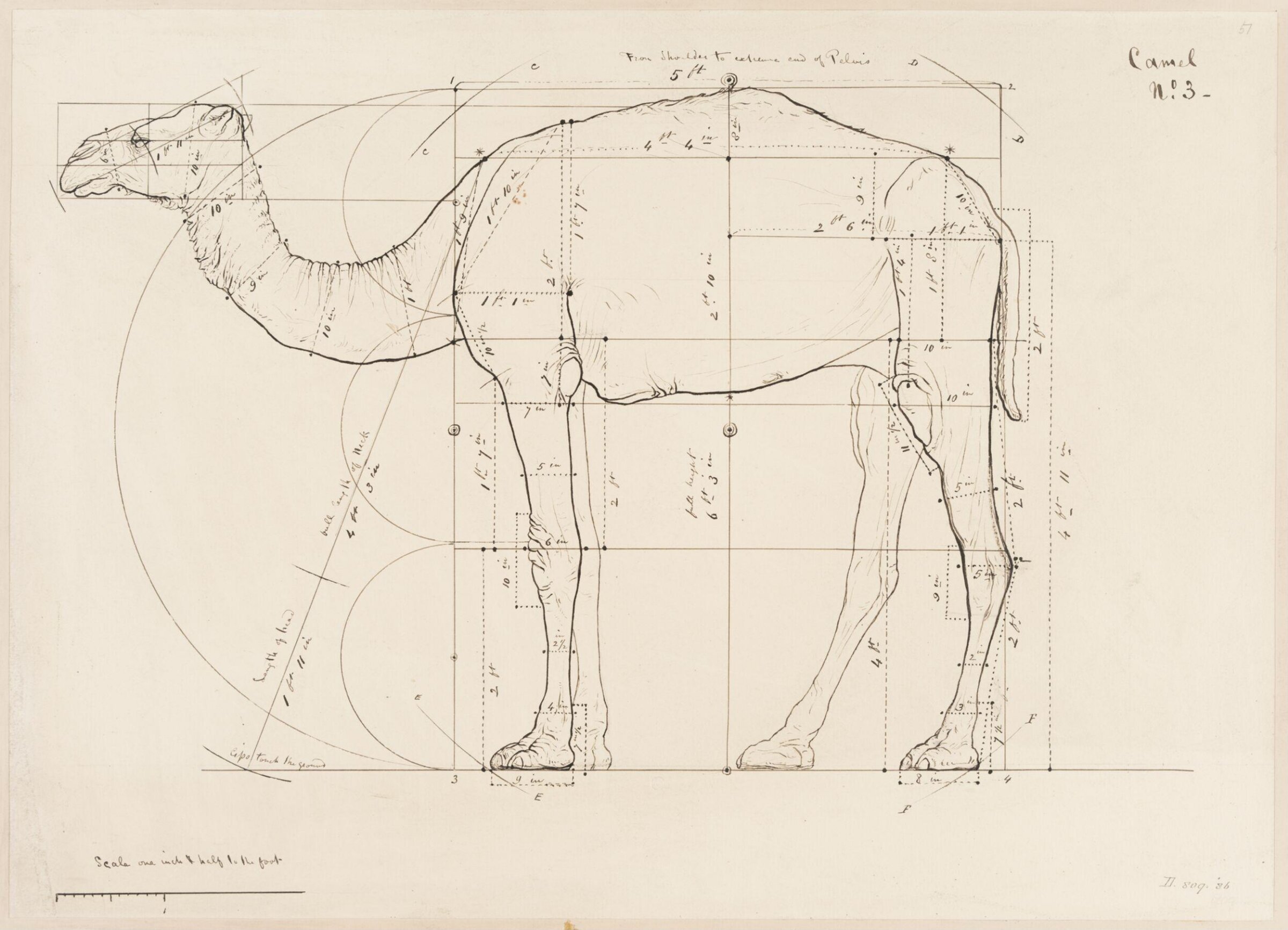 Drawing, Elijah Walton, 1865