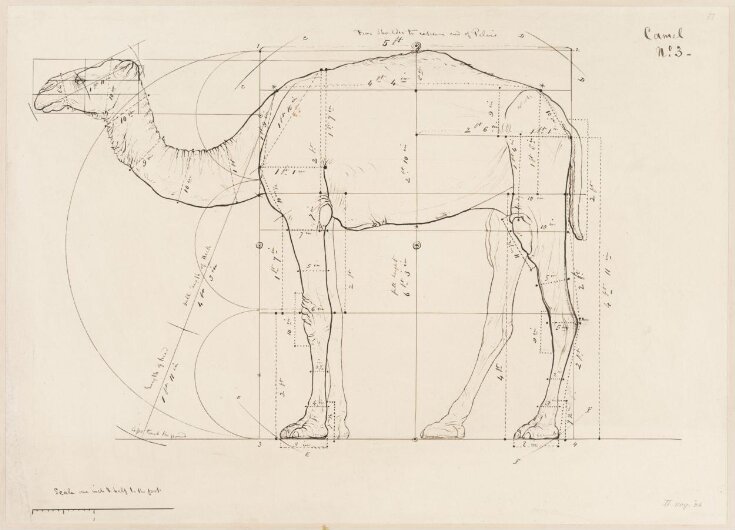 Drawing | Elijah Walton | V&A Explore The Collections