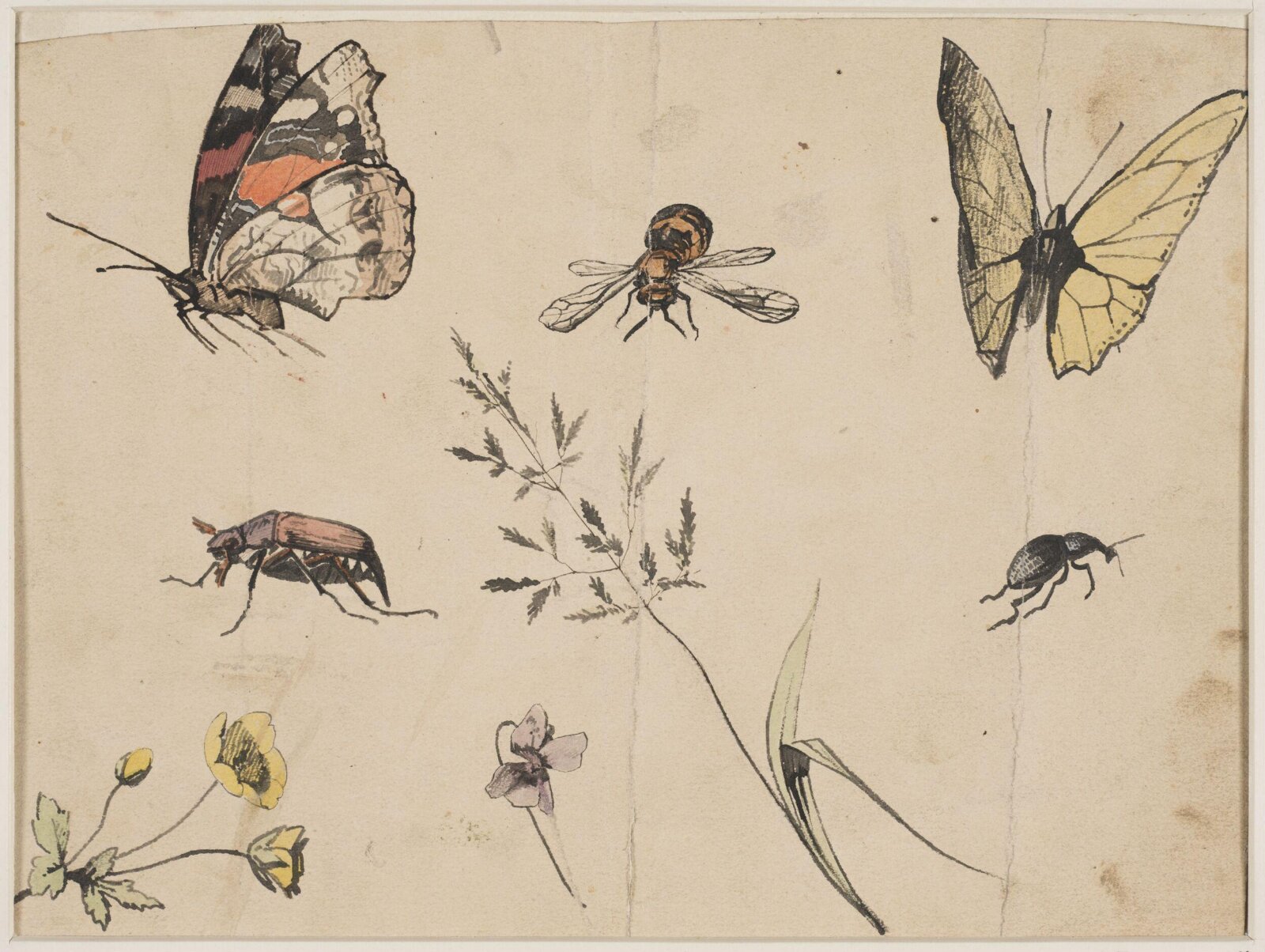 Drawing, c.1800